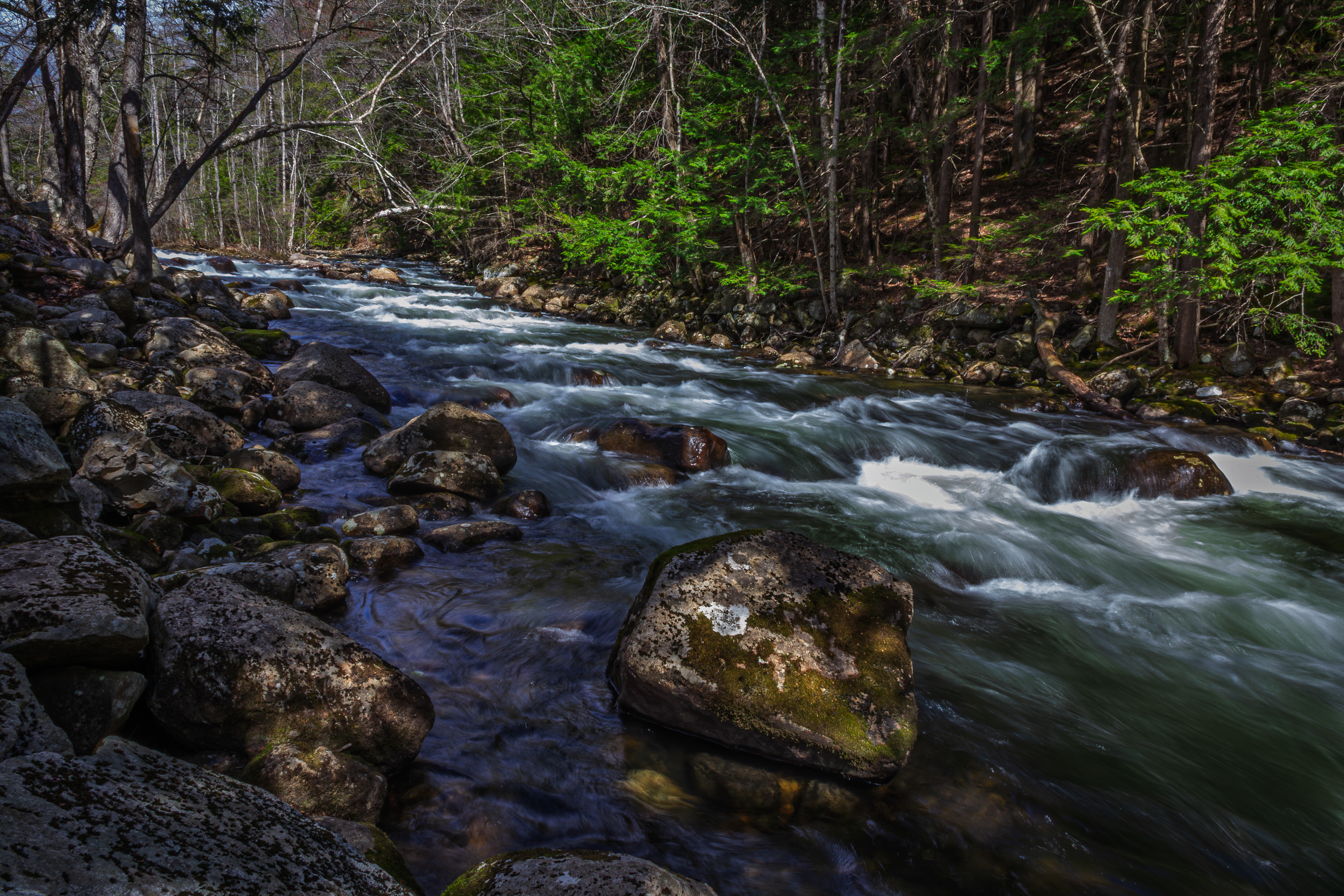 Newfound River at Mill Stream Park No2