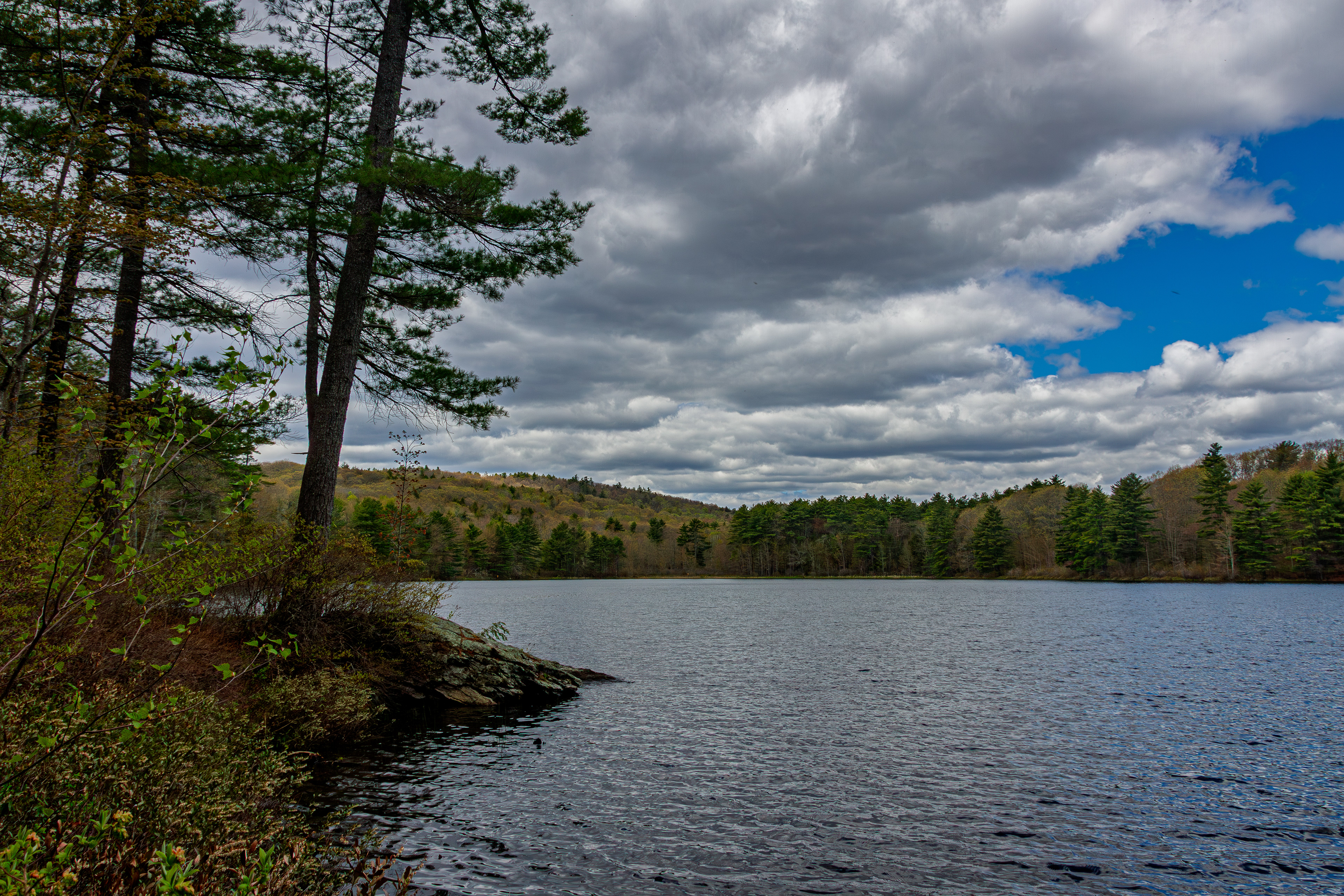 Meetinghouse Pond No2