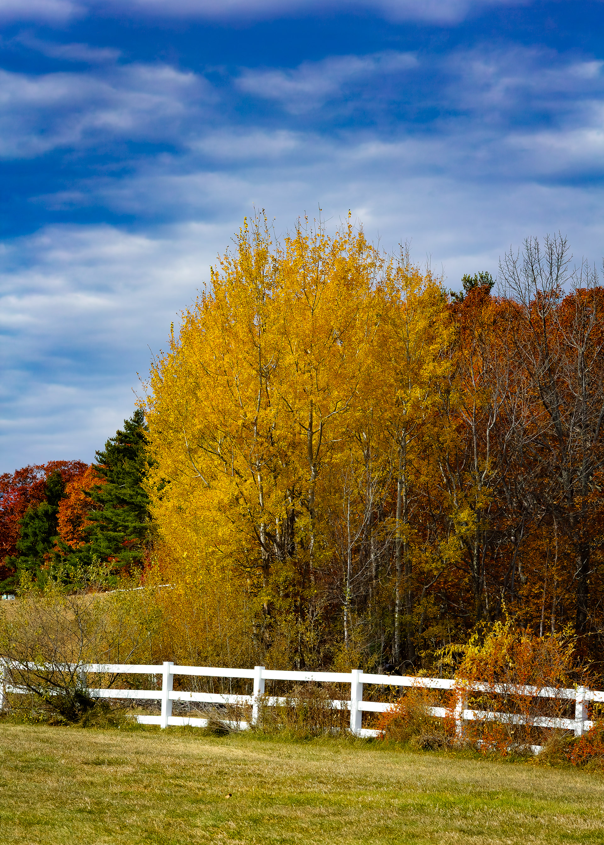 Autumn Color at Castle in the Clouds No2
