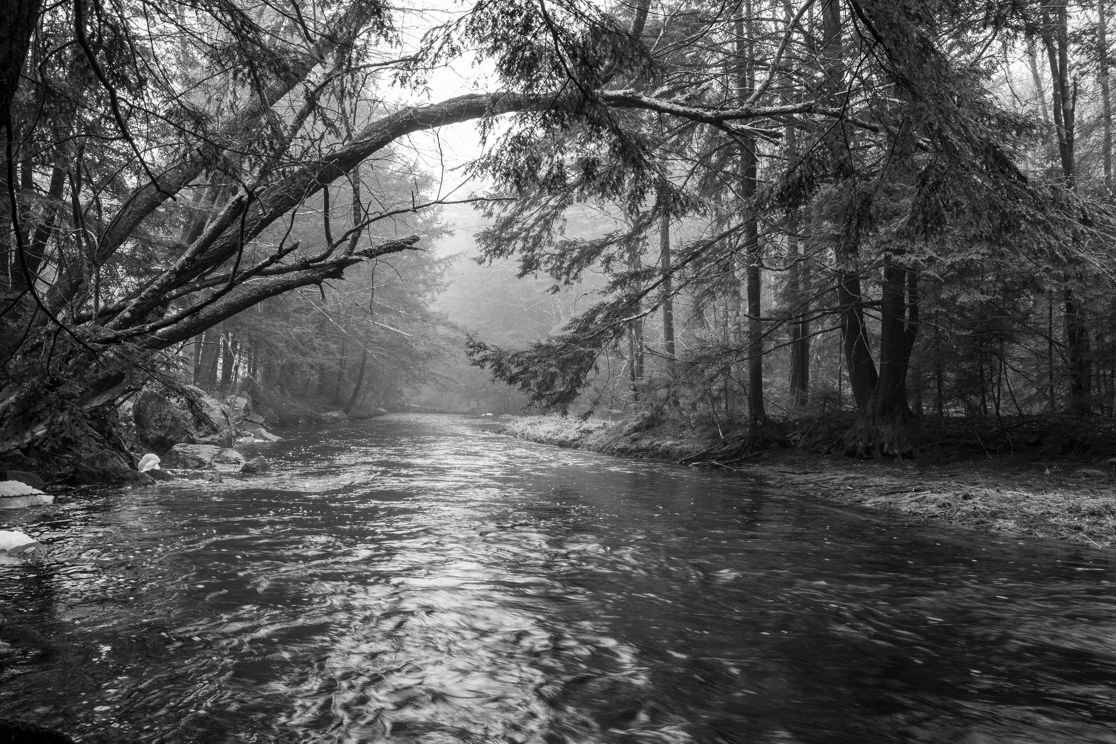 Academy Brook No10