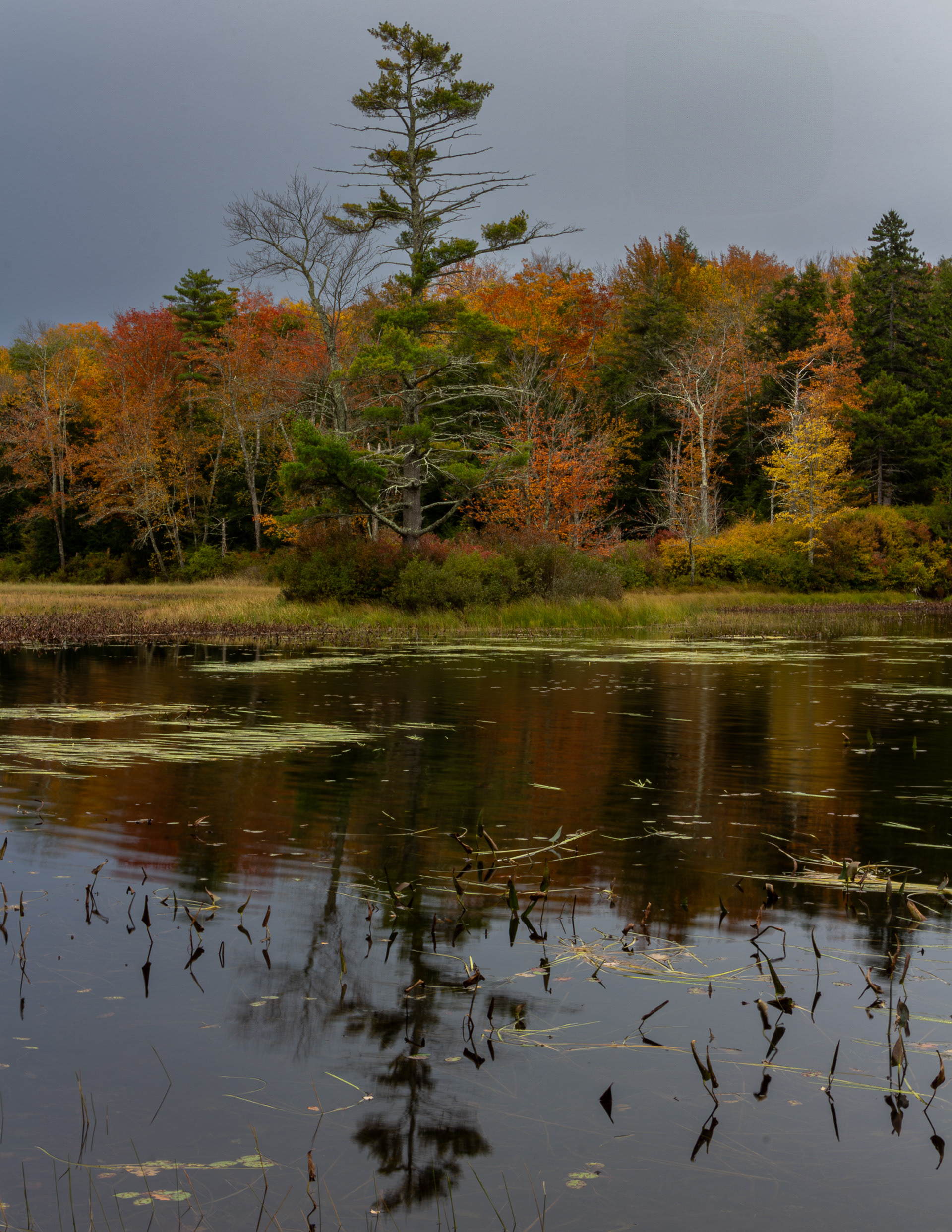 Rollins Pond No9