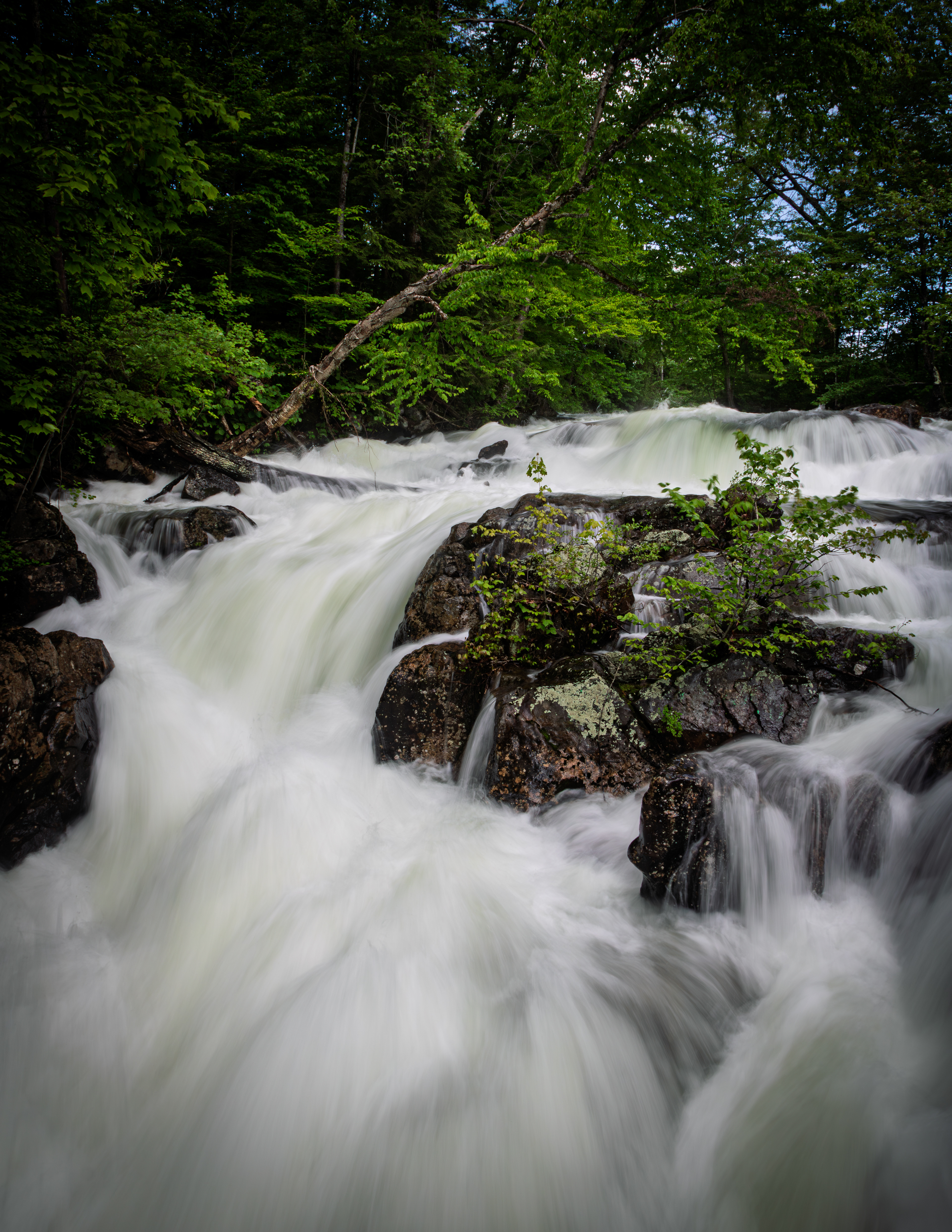 Bristol Falls Park No14