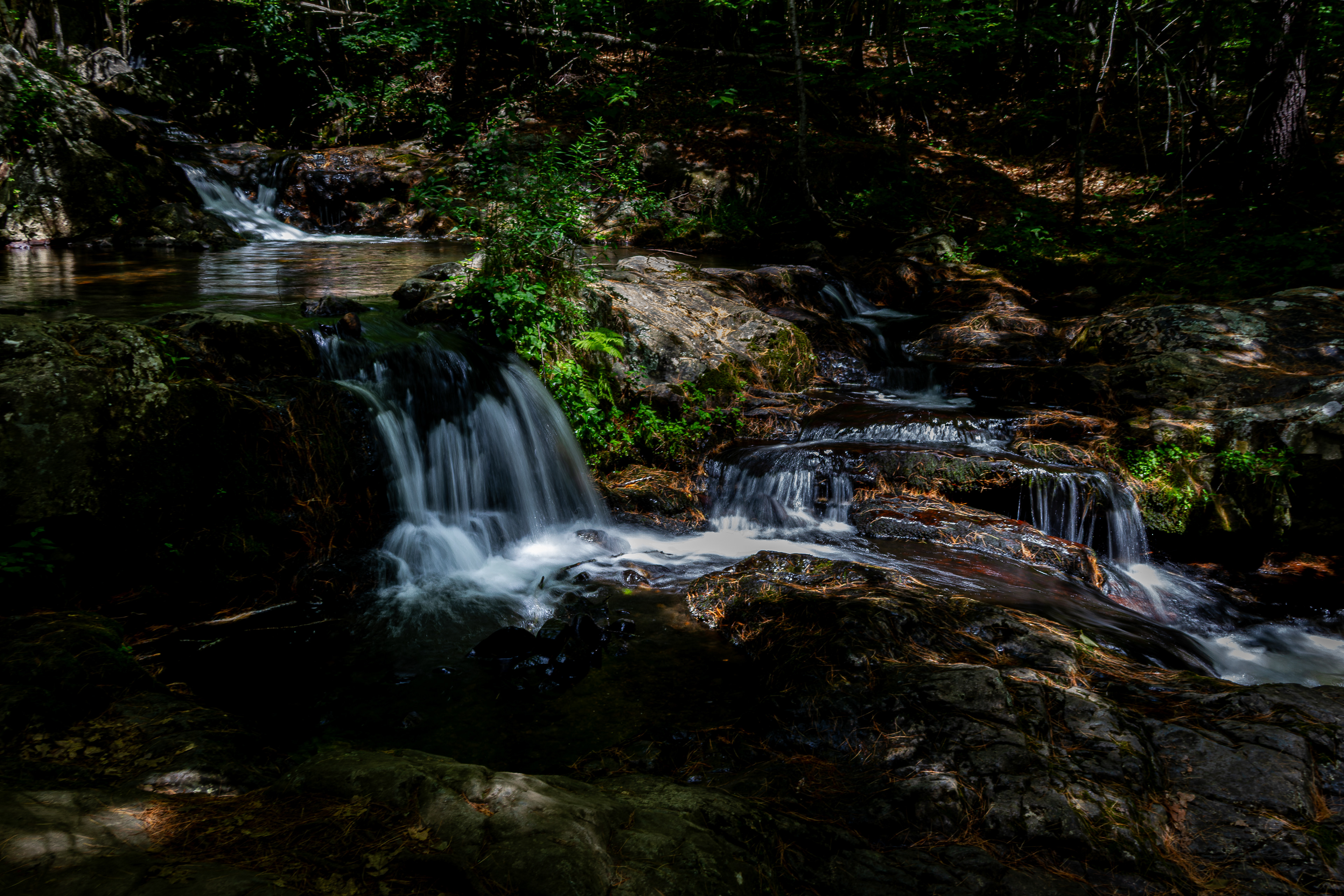 Twin Falls at CITC in Color