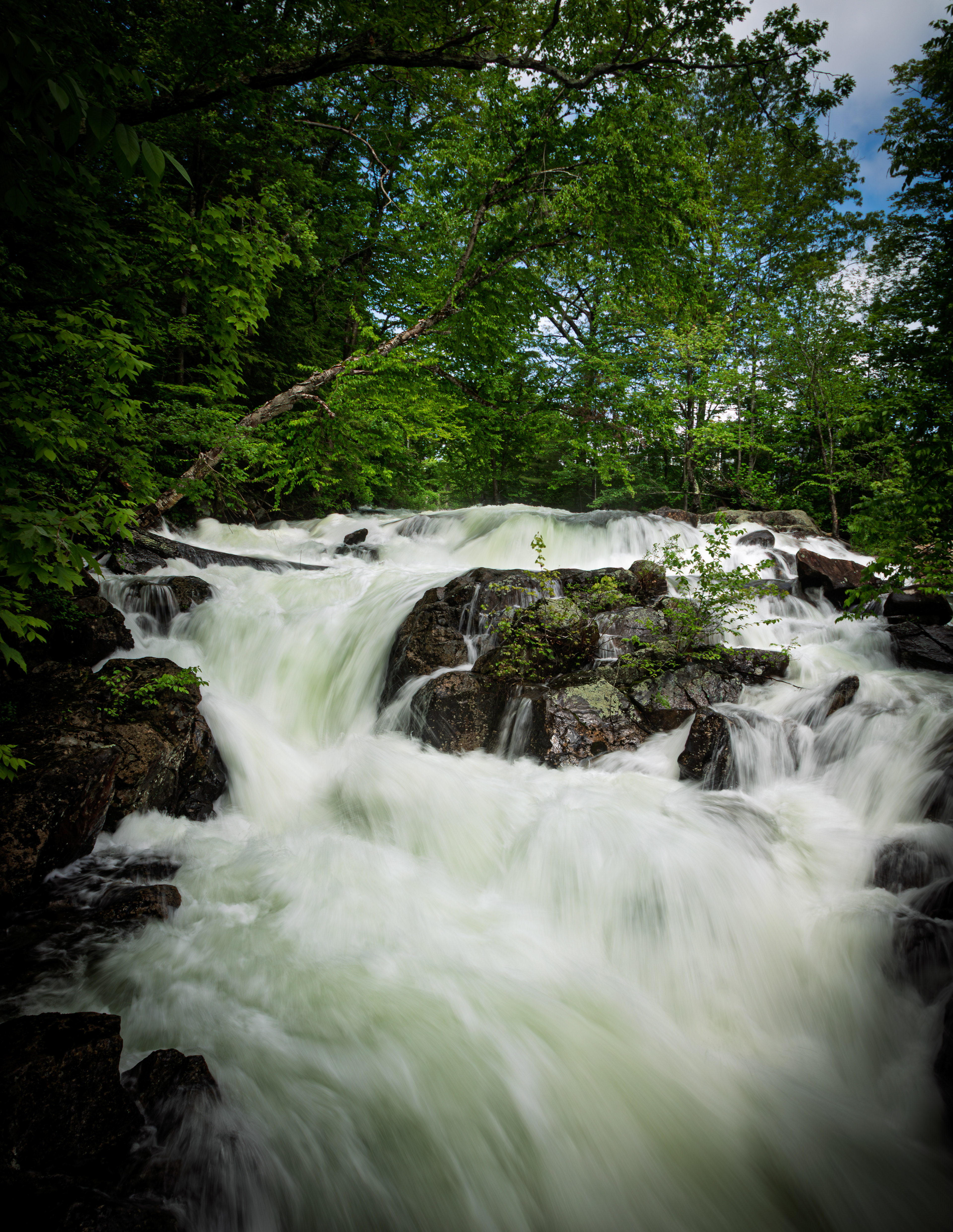 Bristol Falls Park No24