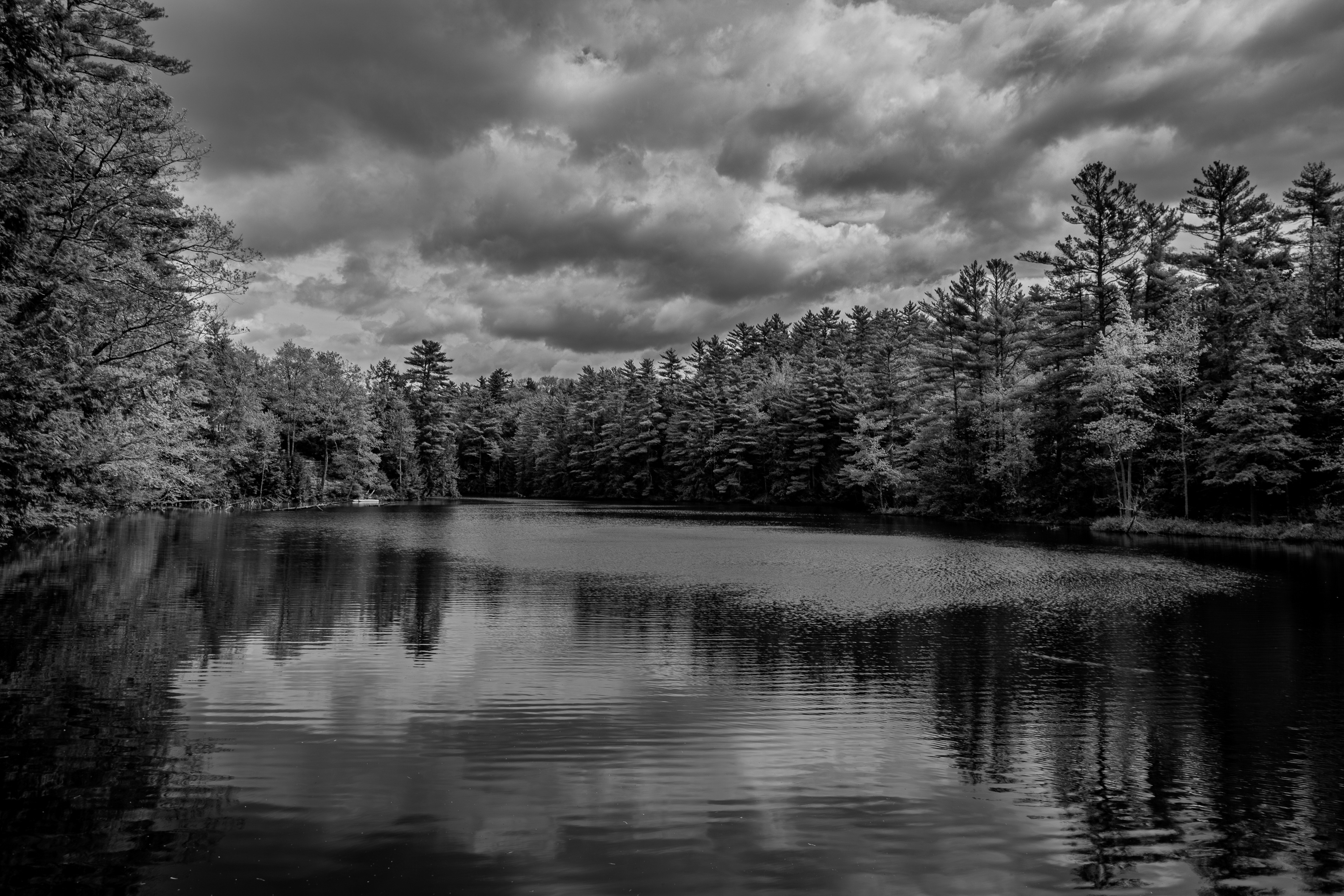 Pond on Meadow Pond Road No1