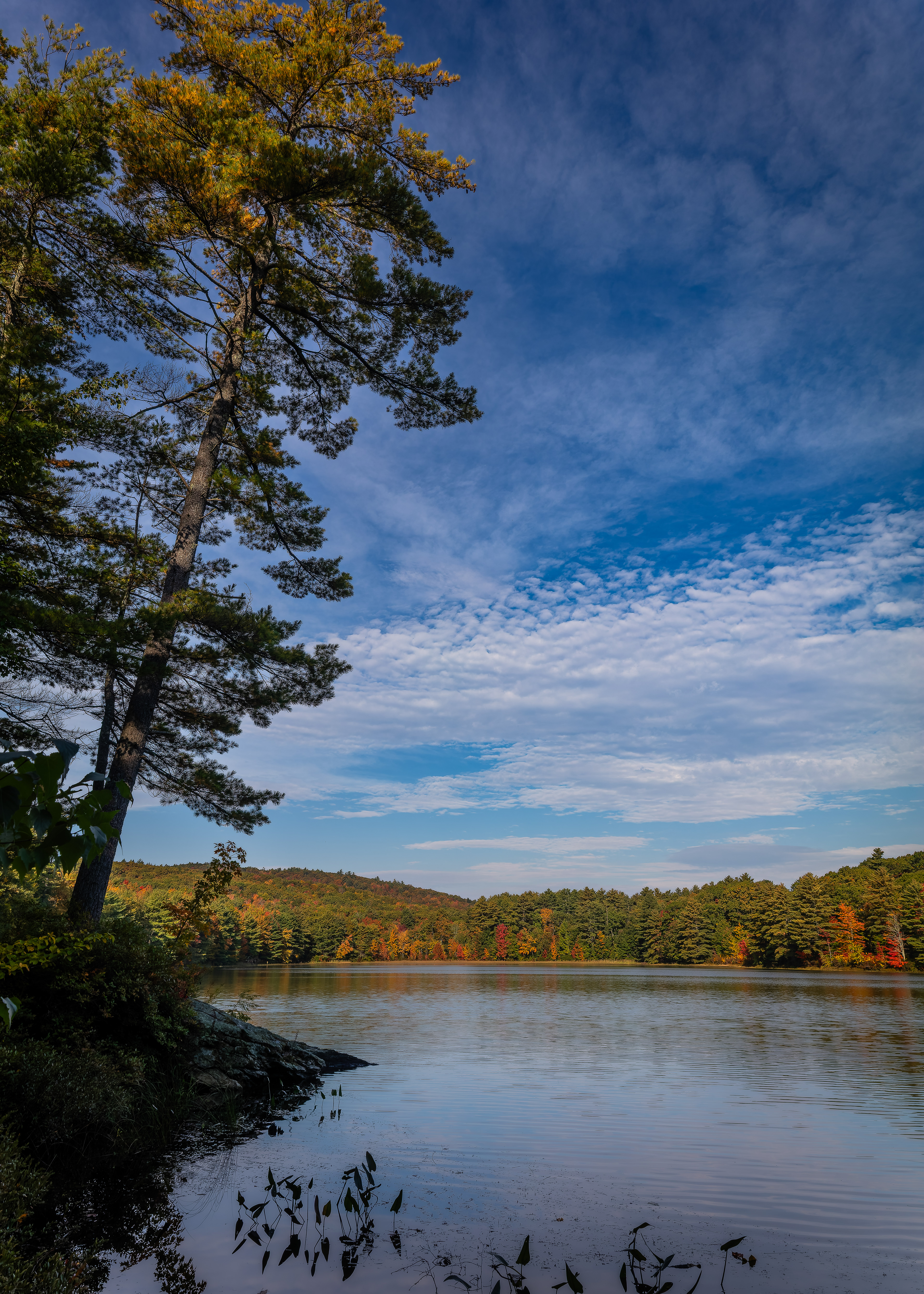 Meetinghouse Pond No1