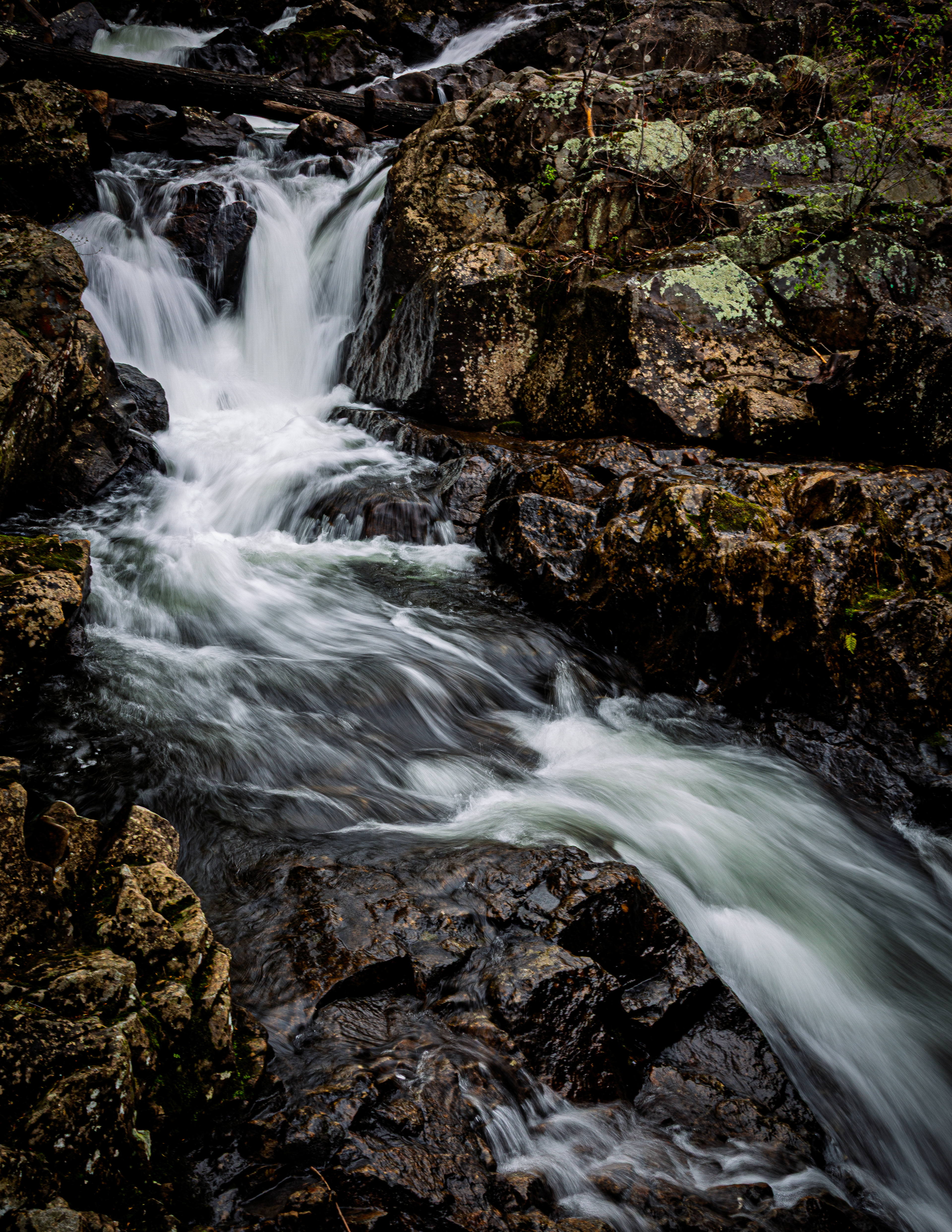 Bristol Falls Park No16