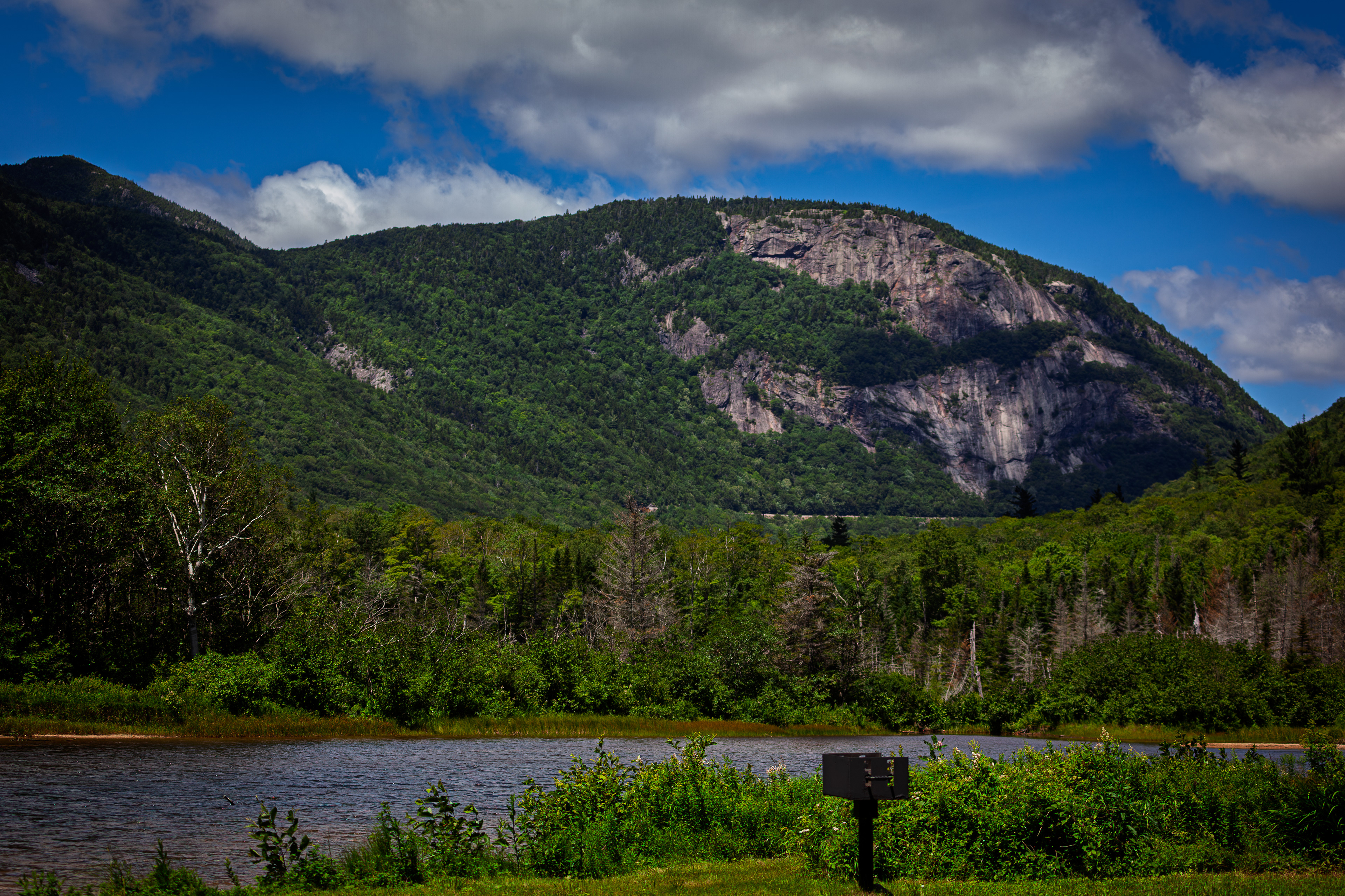 Mount Willard from Willey Pond No4