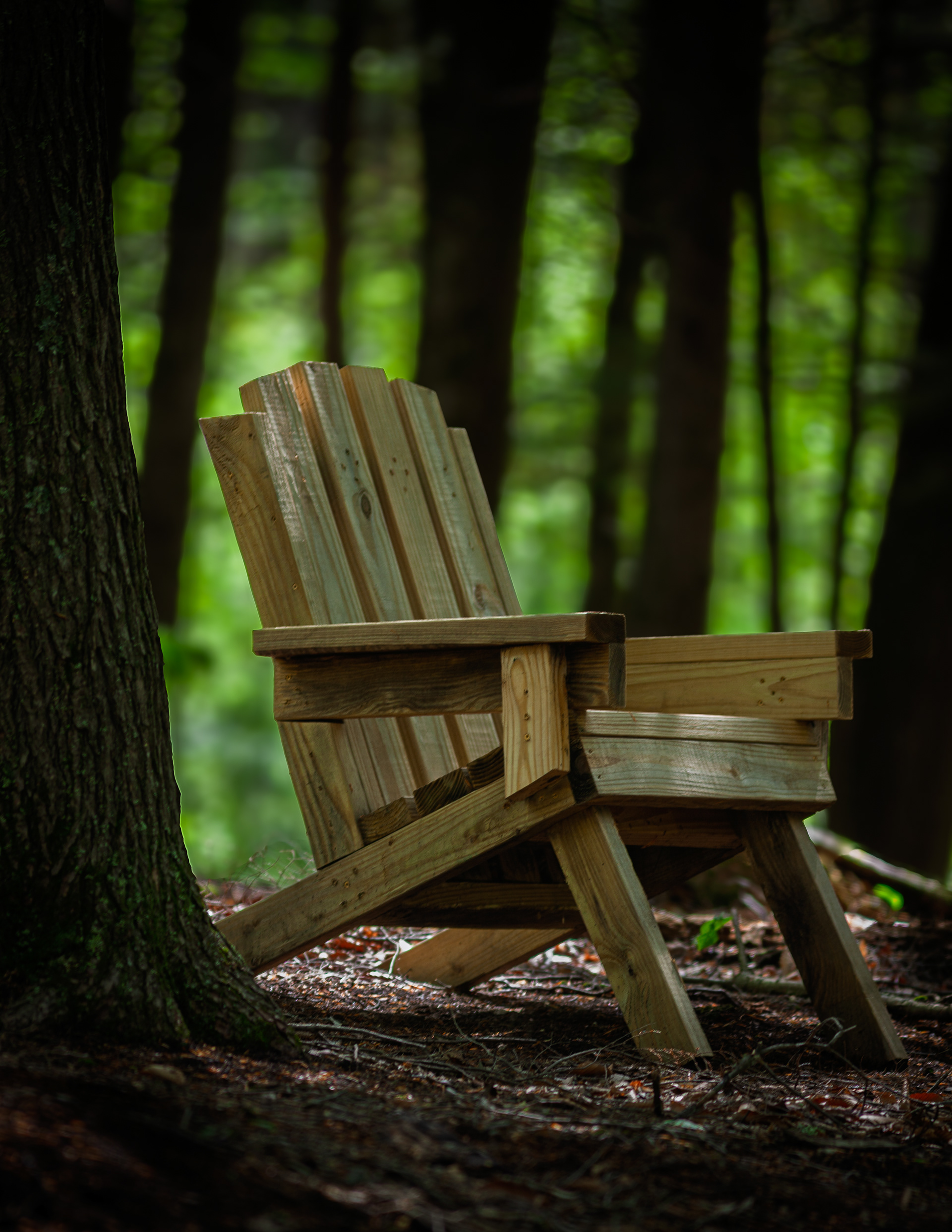 Adirondack Chair