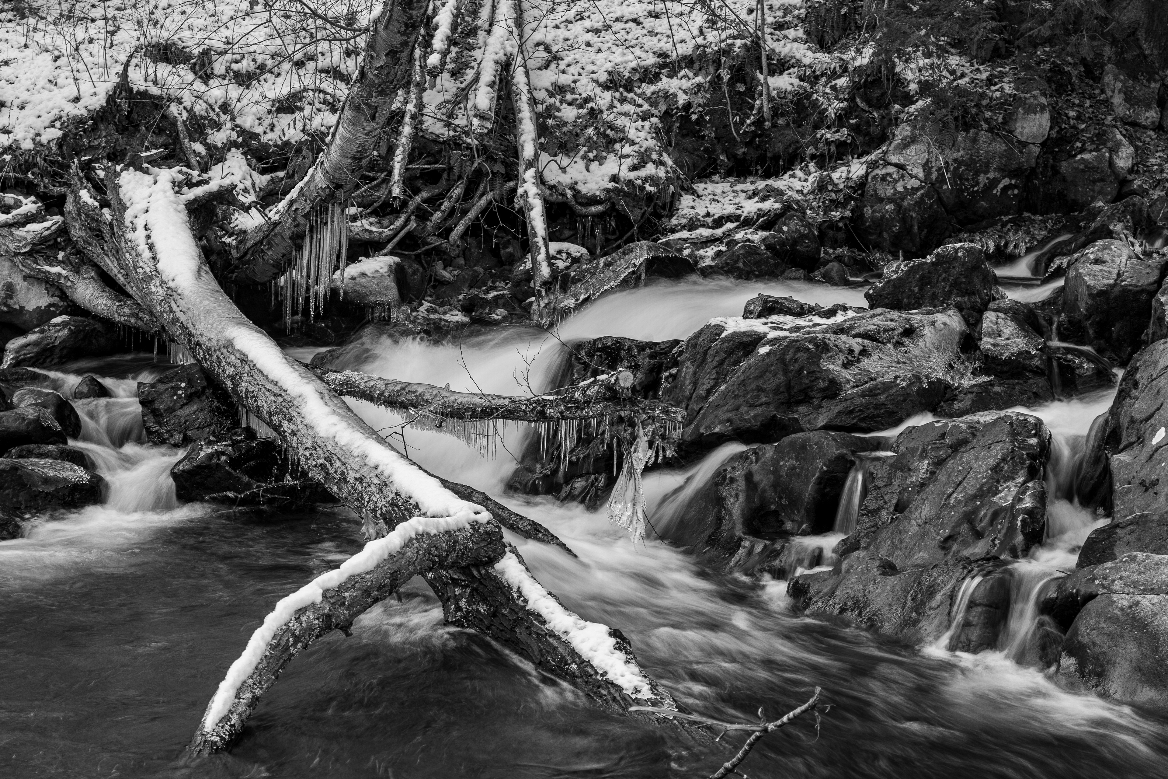 Bristol Falls Park 12-3-2024 No17