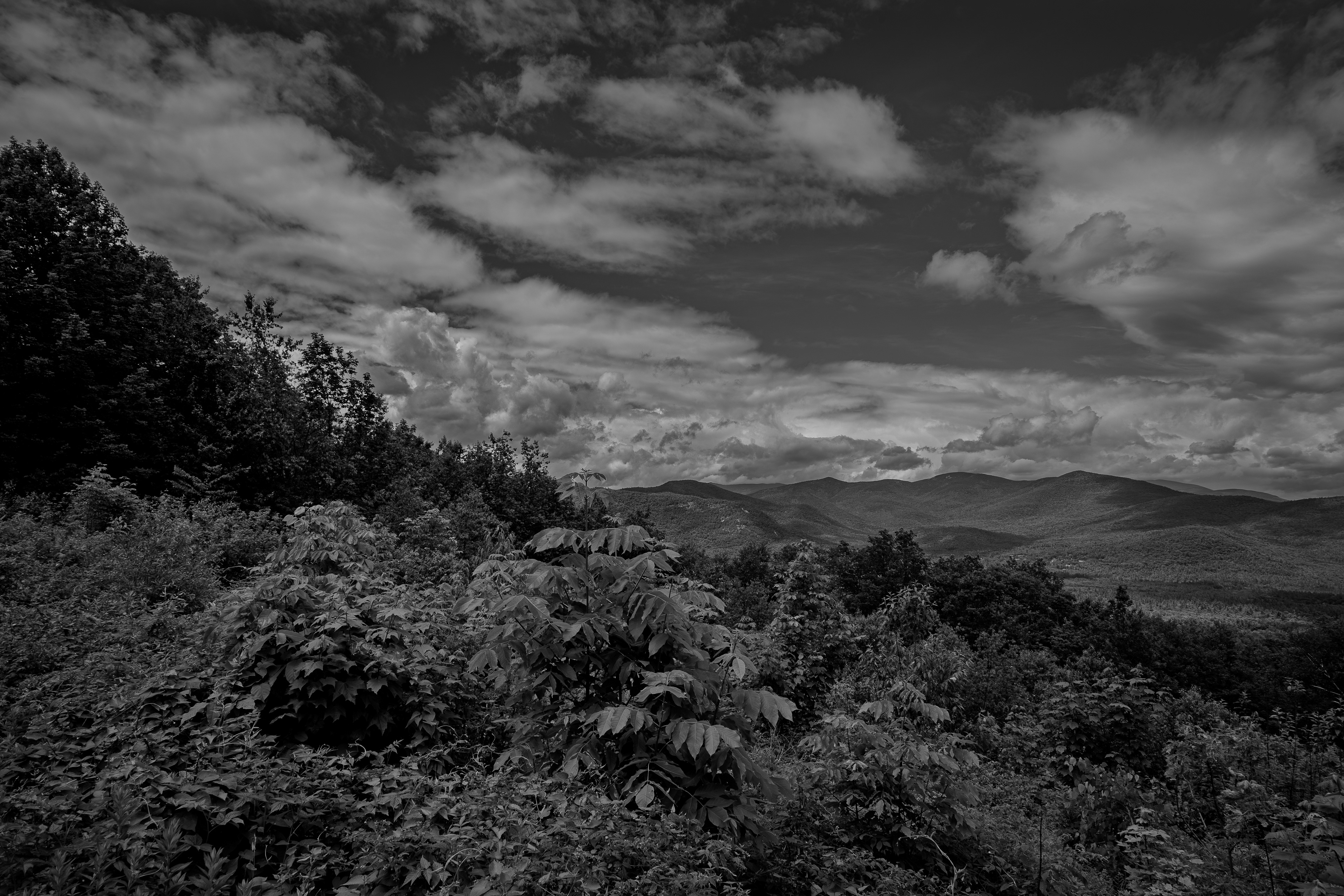 Bear Notch Scenic Vista No3