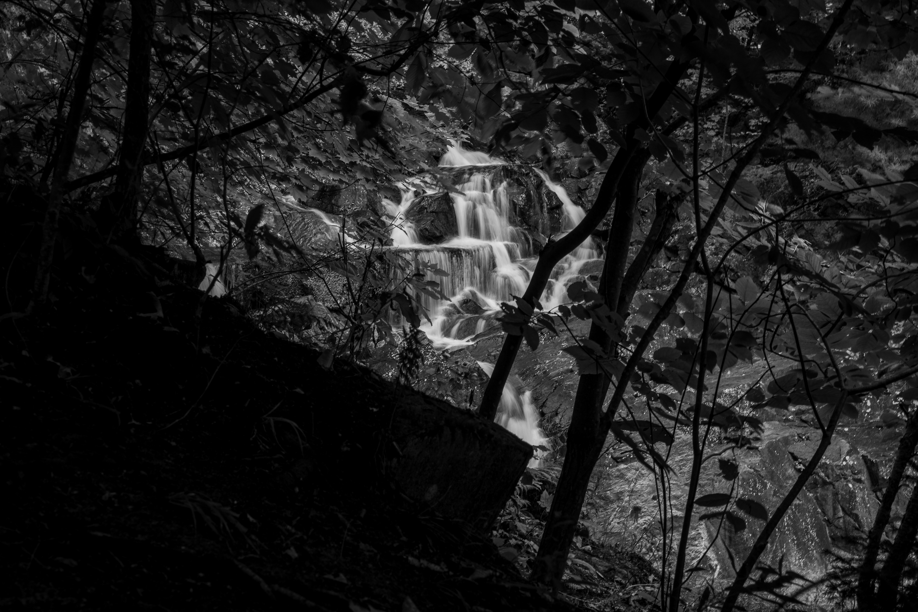 Bristol Falls Park No11