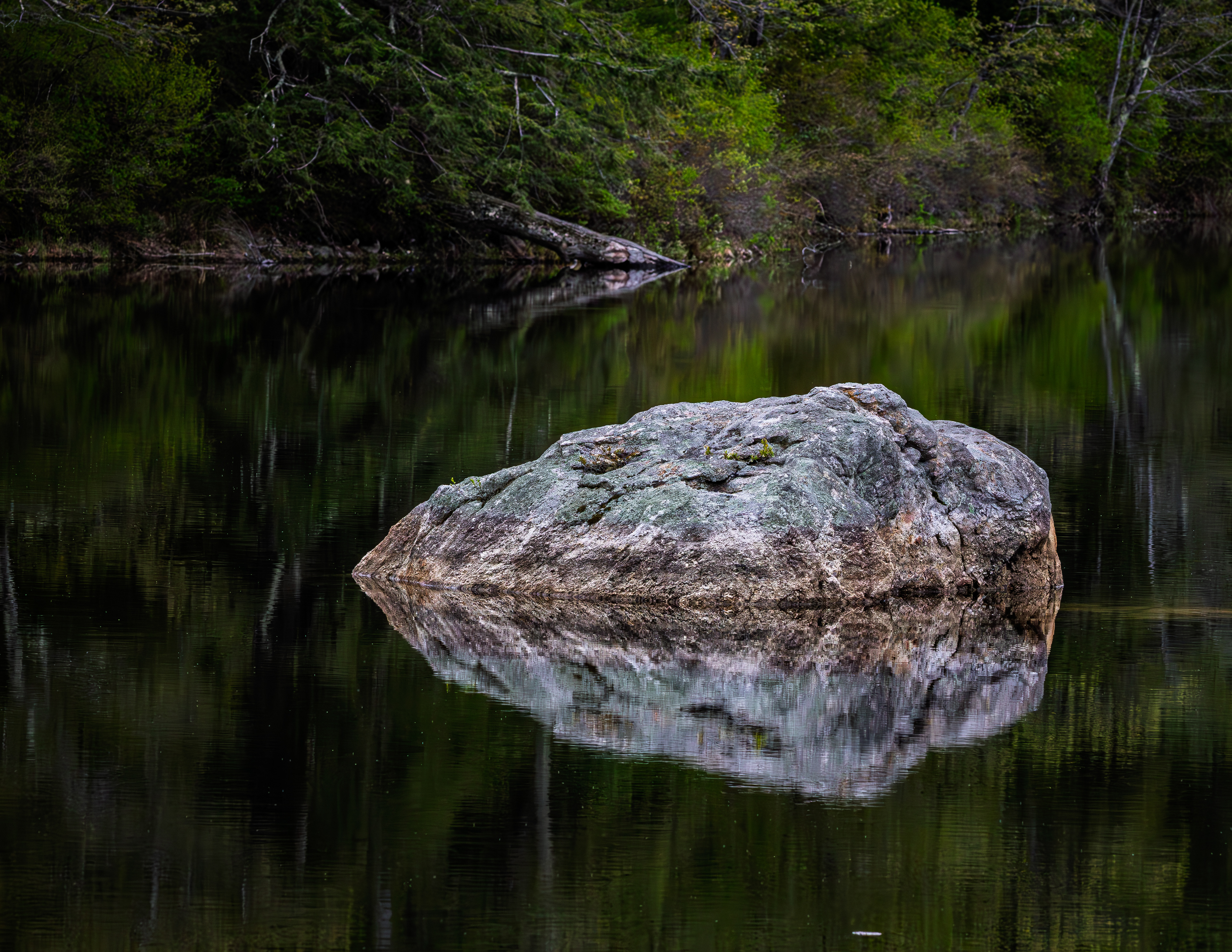 Boulder in Rollins Pond in Color