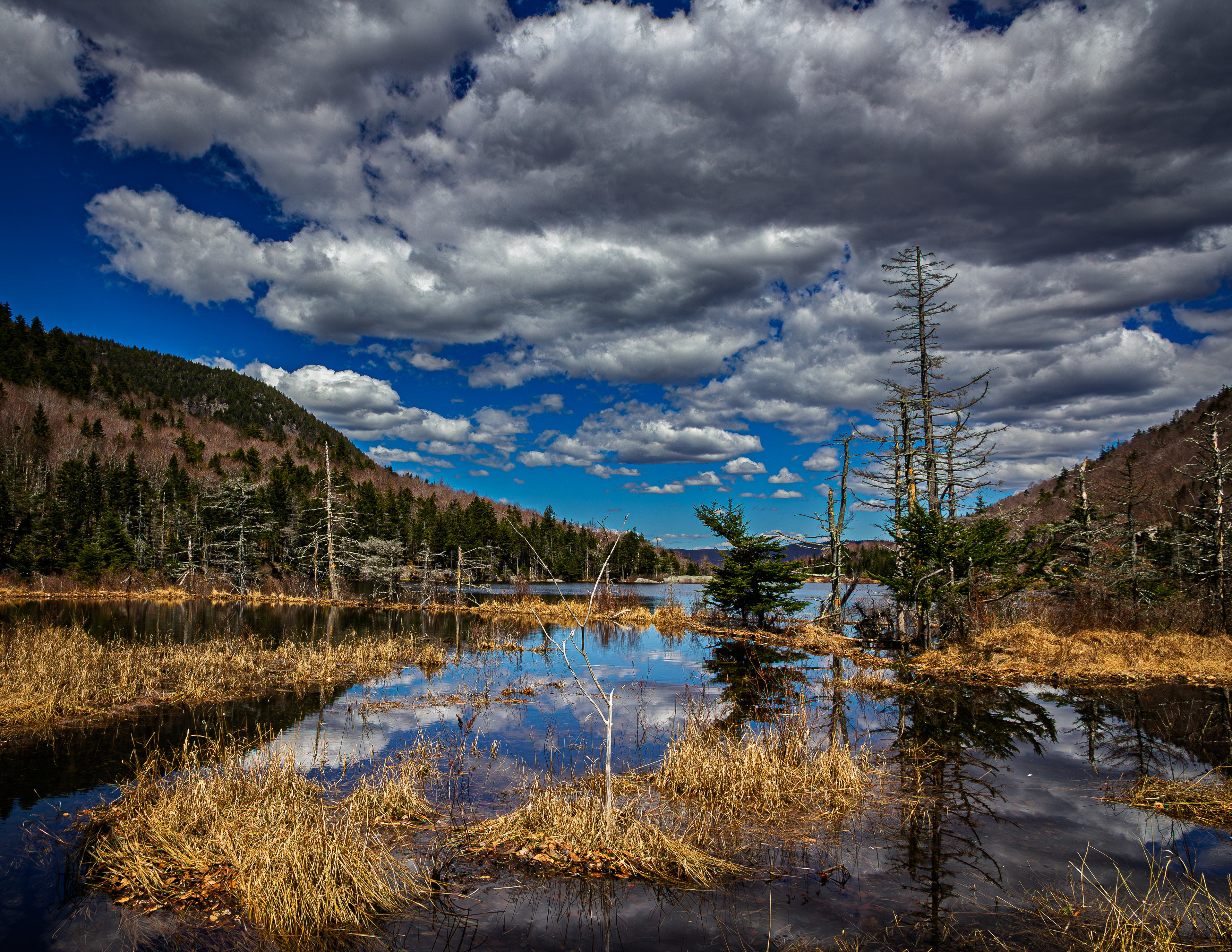 Beaver Pond - April 27, 2026