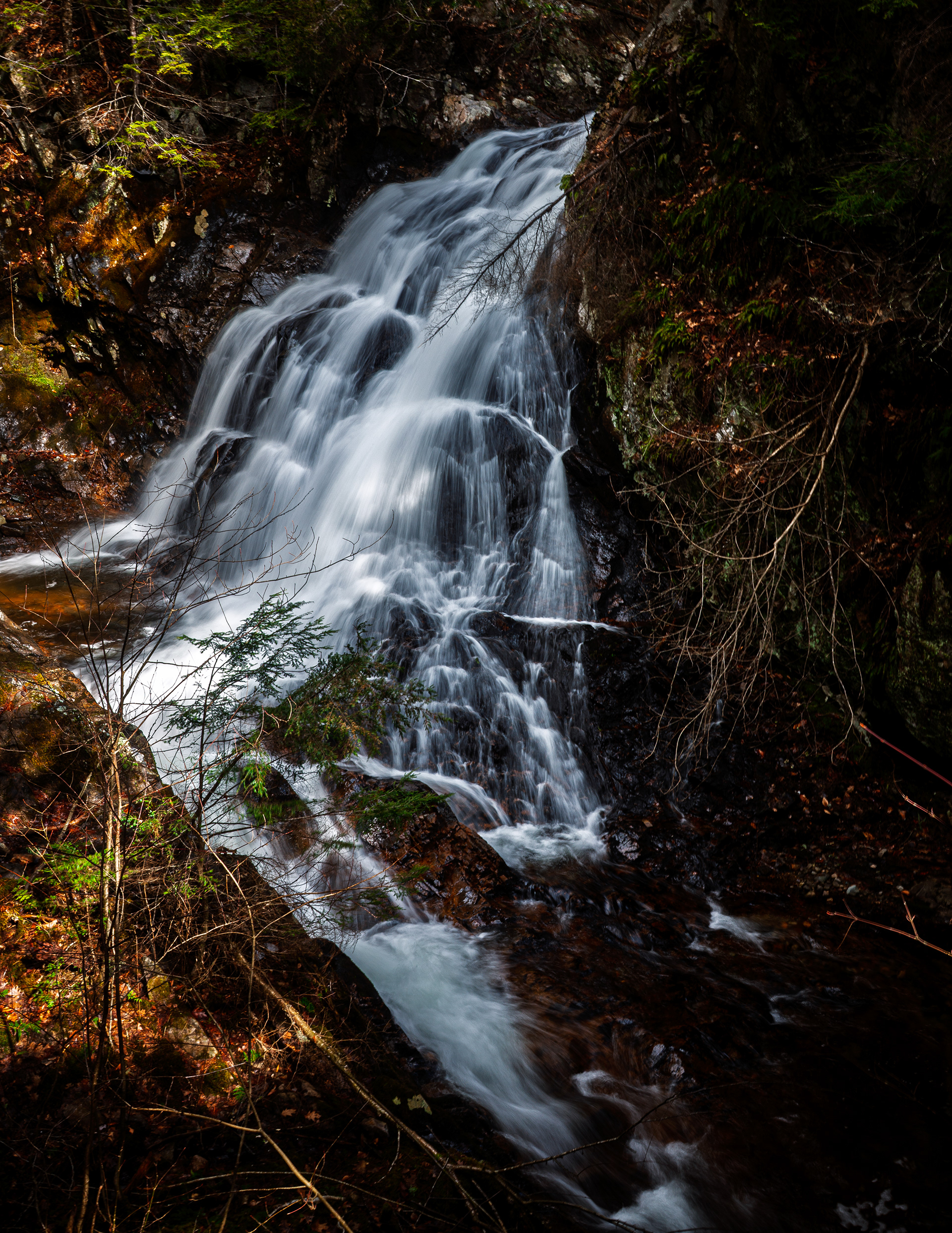 CITC Brook Walk - Bridal Veil Falls No28