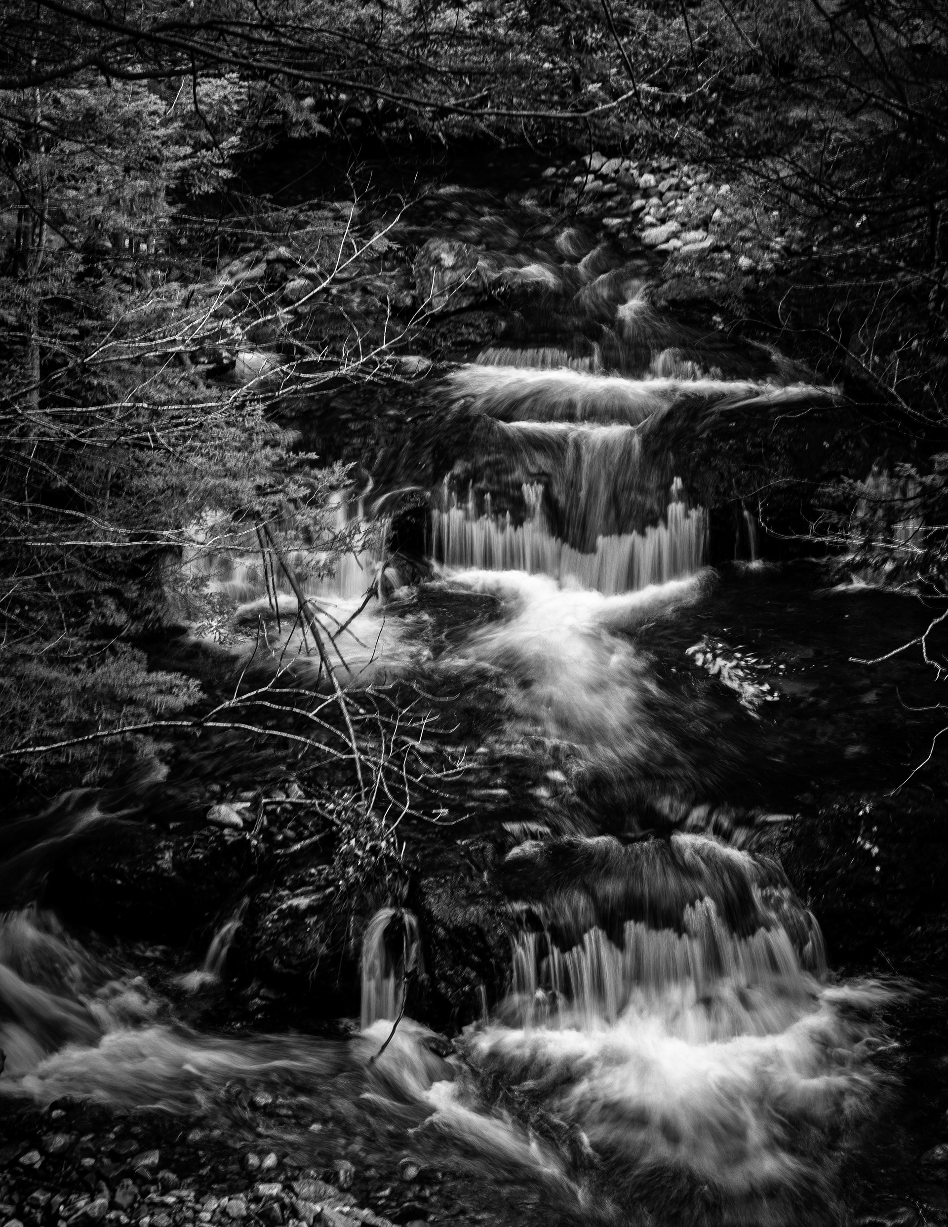 CITC Brook Walk - The Cascades No23
