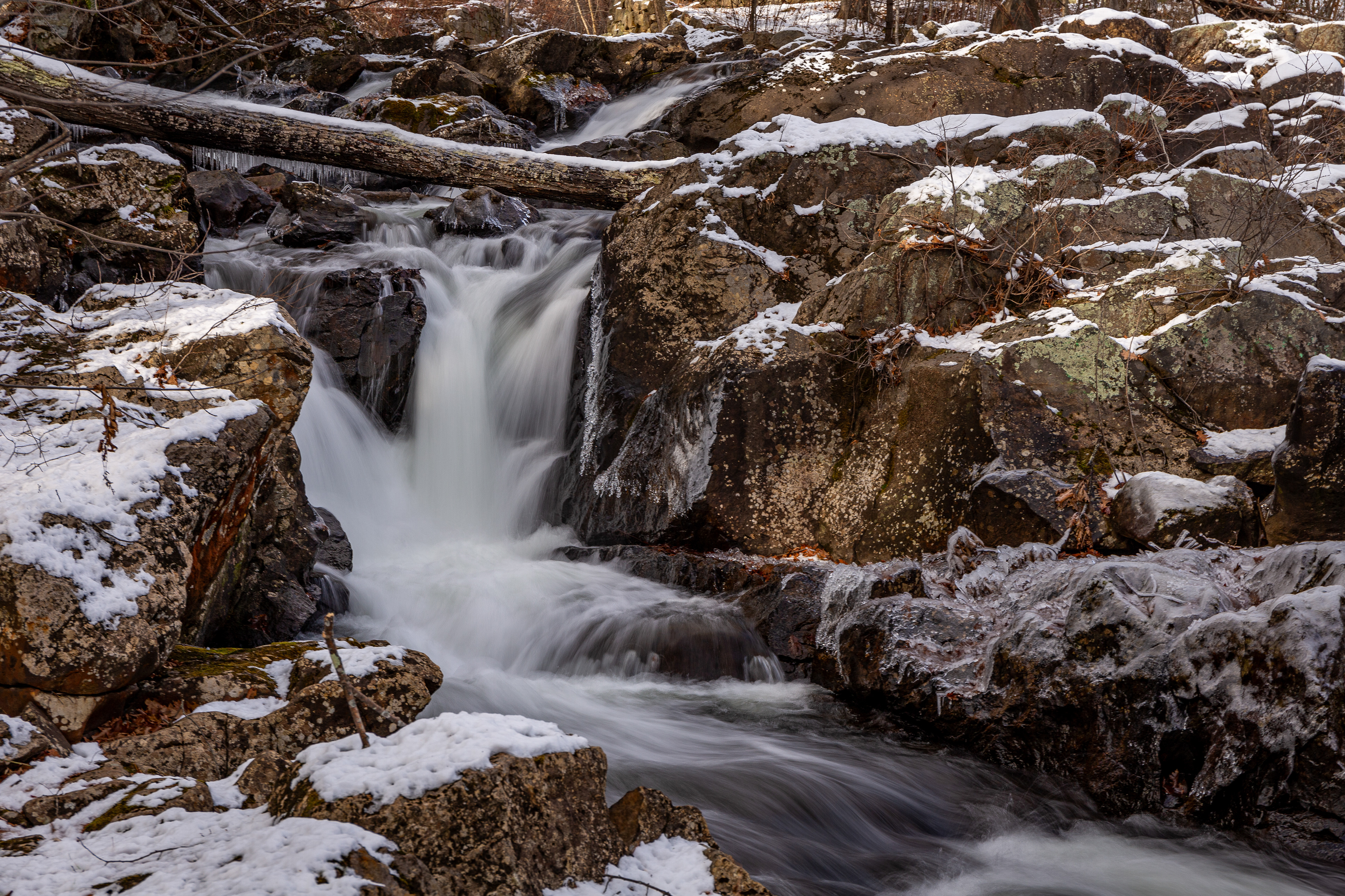 Bristol Falls Park 12-3-2024 No11