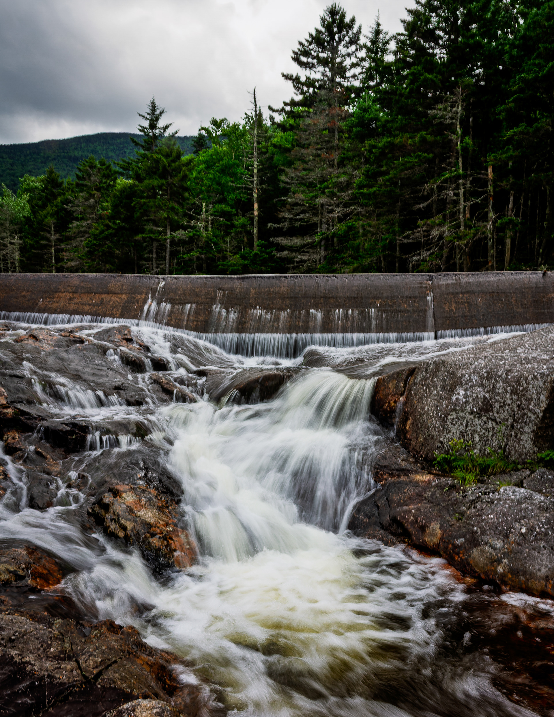Beaver Pond Dam No6