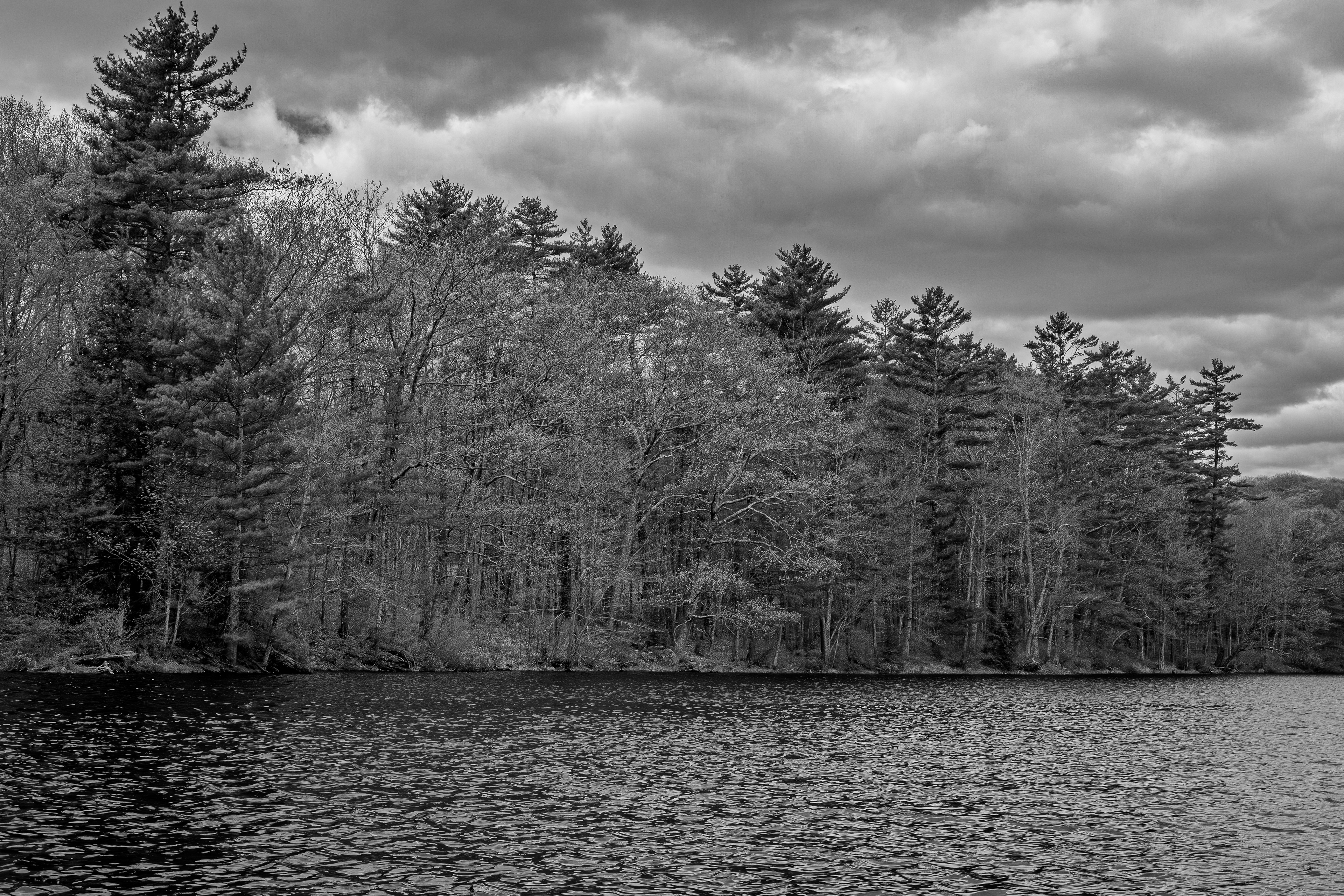 Meetinghouse Pond No3 - May 12, 2026
