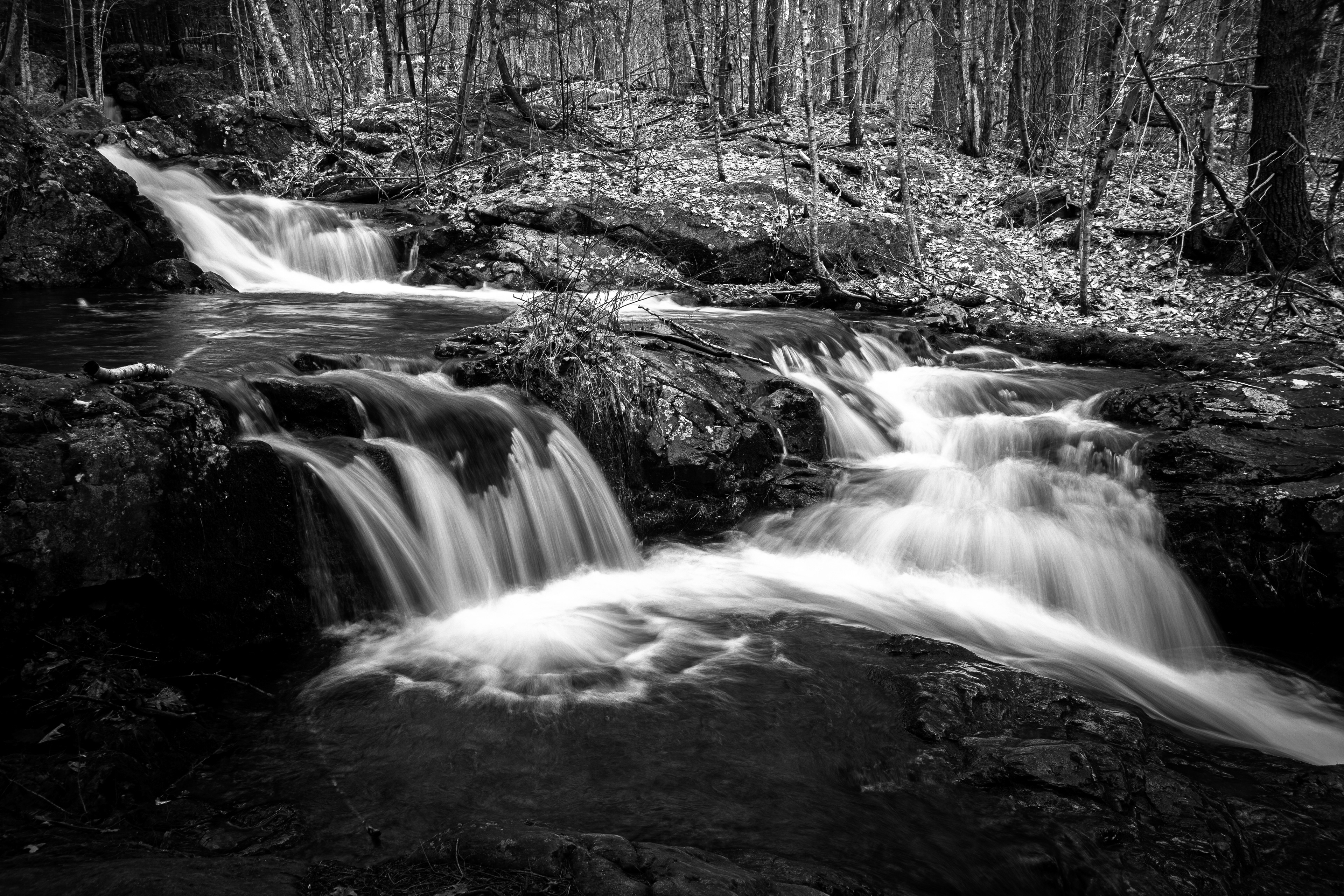 CITC Brook Walk - Twin Falls No13