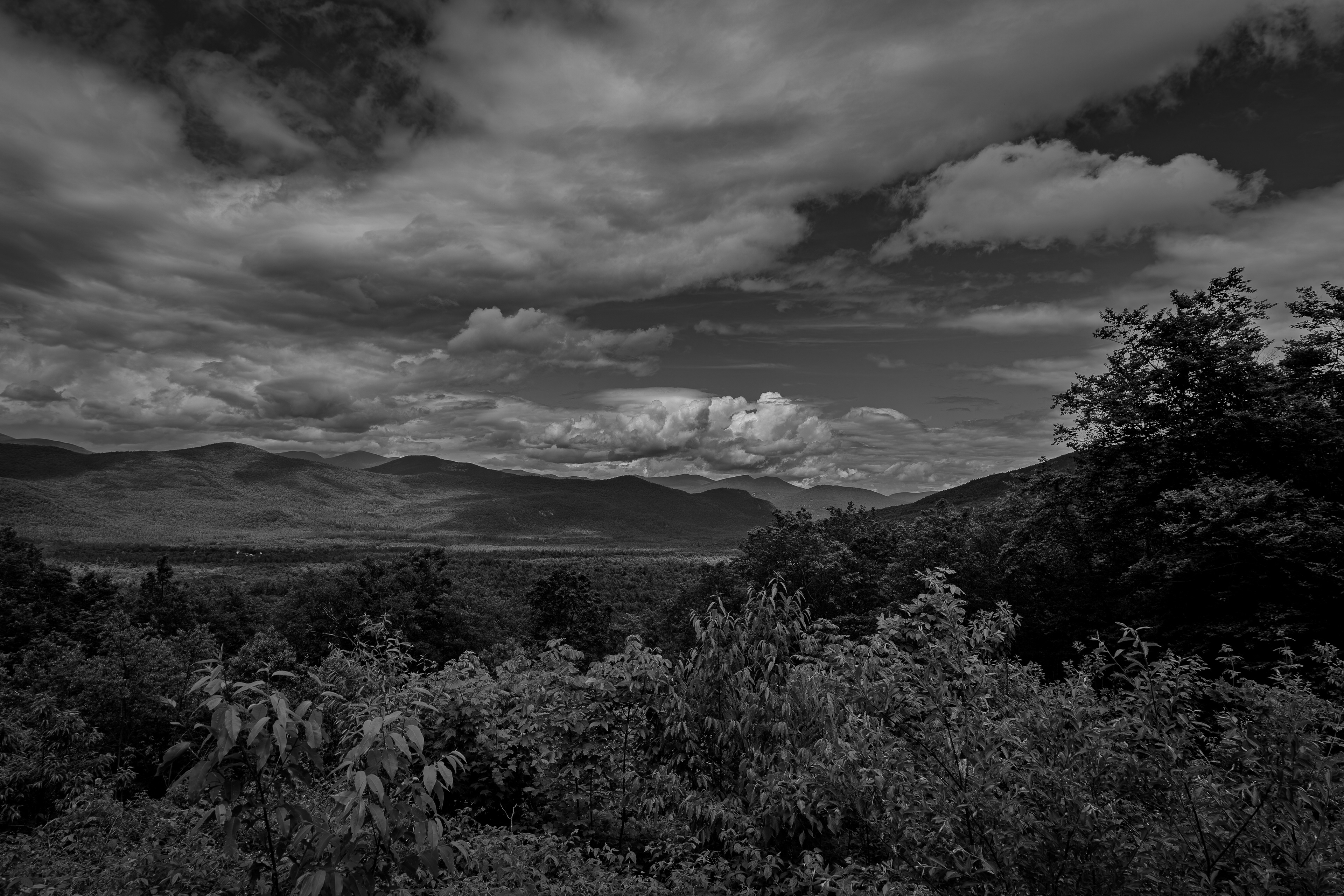 Bear Notch Scenic Vista No5