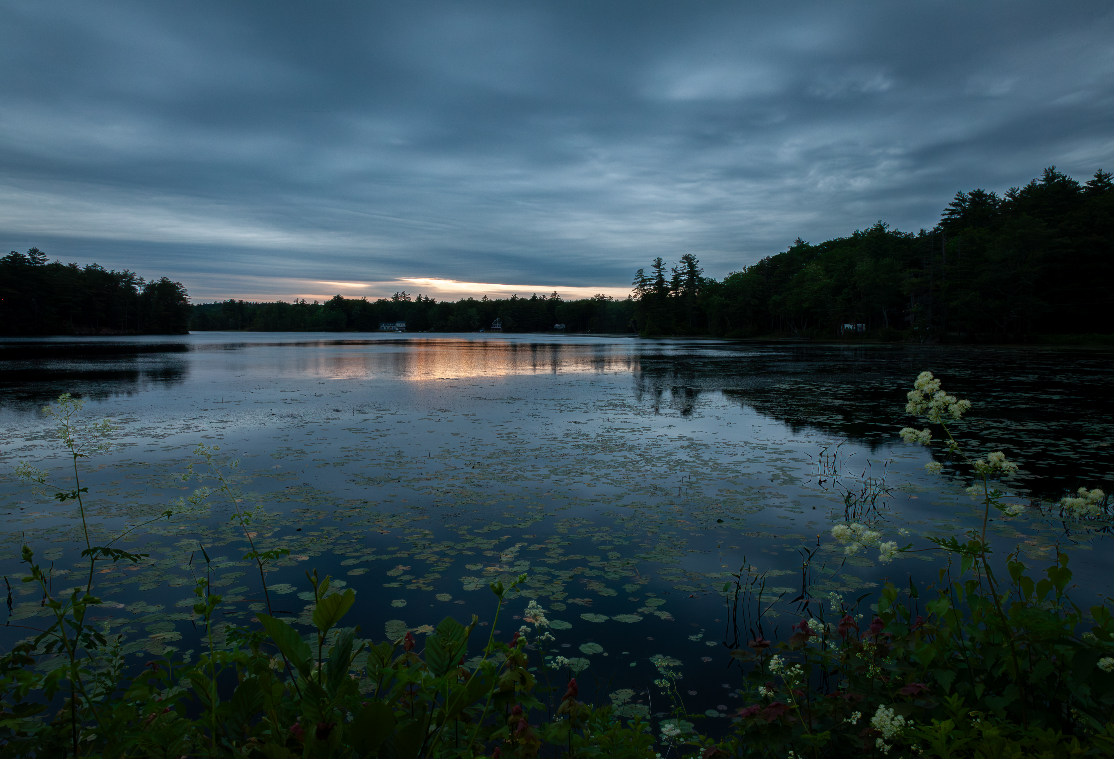 Shellcamp Pond Blue Hour No3