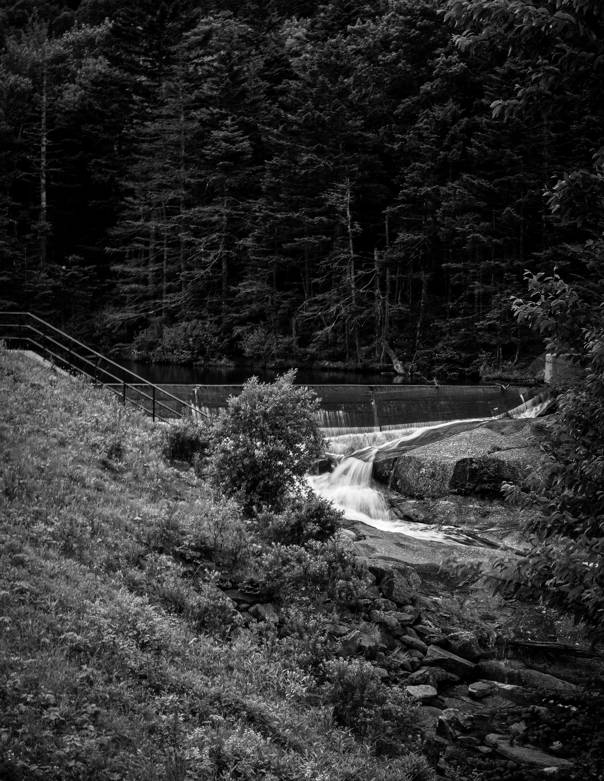 Beaver Pond Dam No13