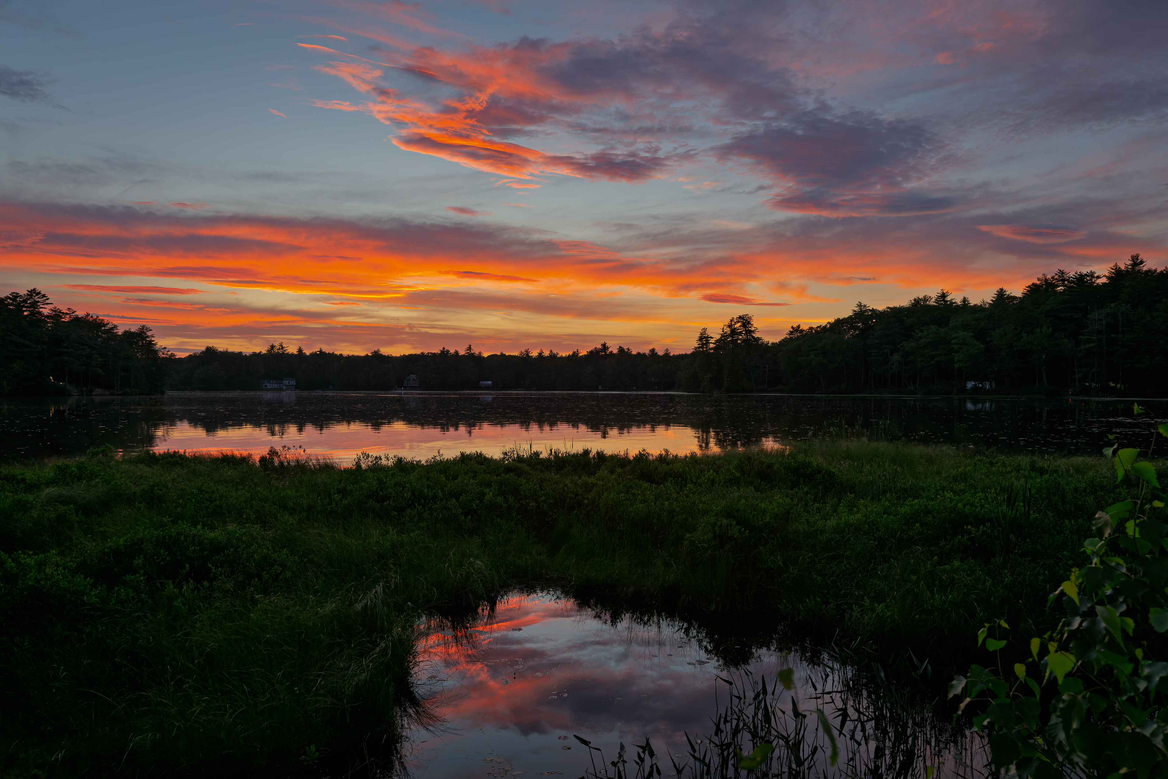 Shellcamp Sunset No29