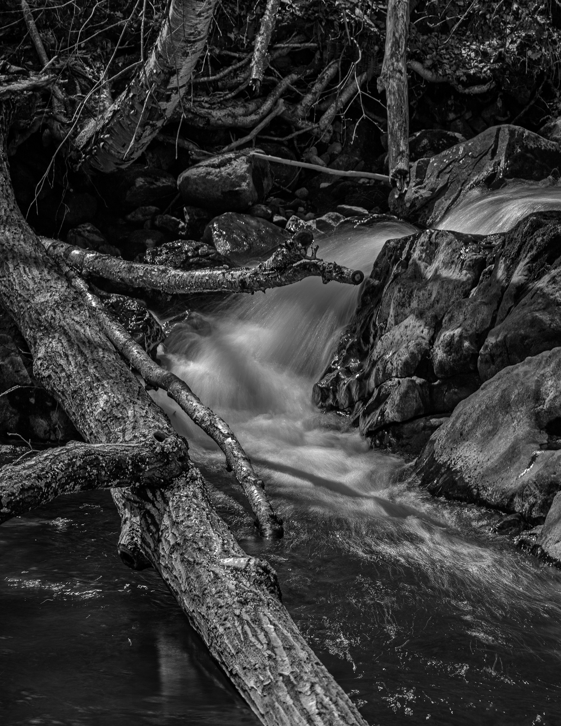 Bristol Falls Park No1