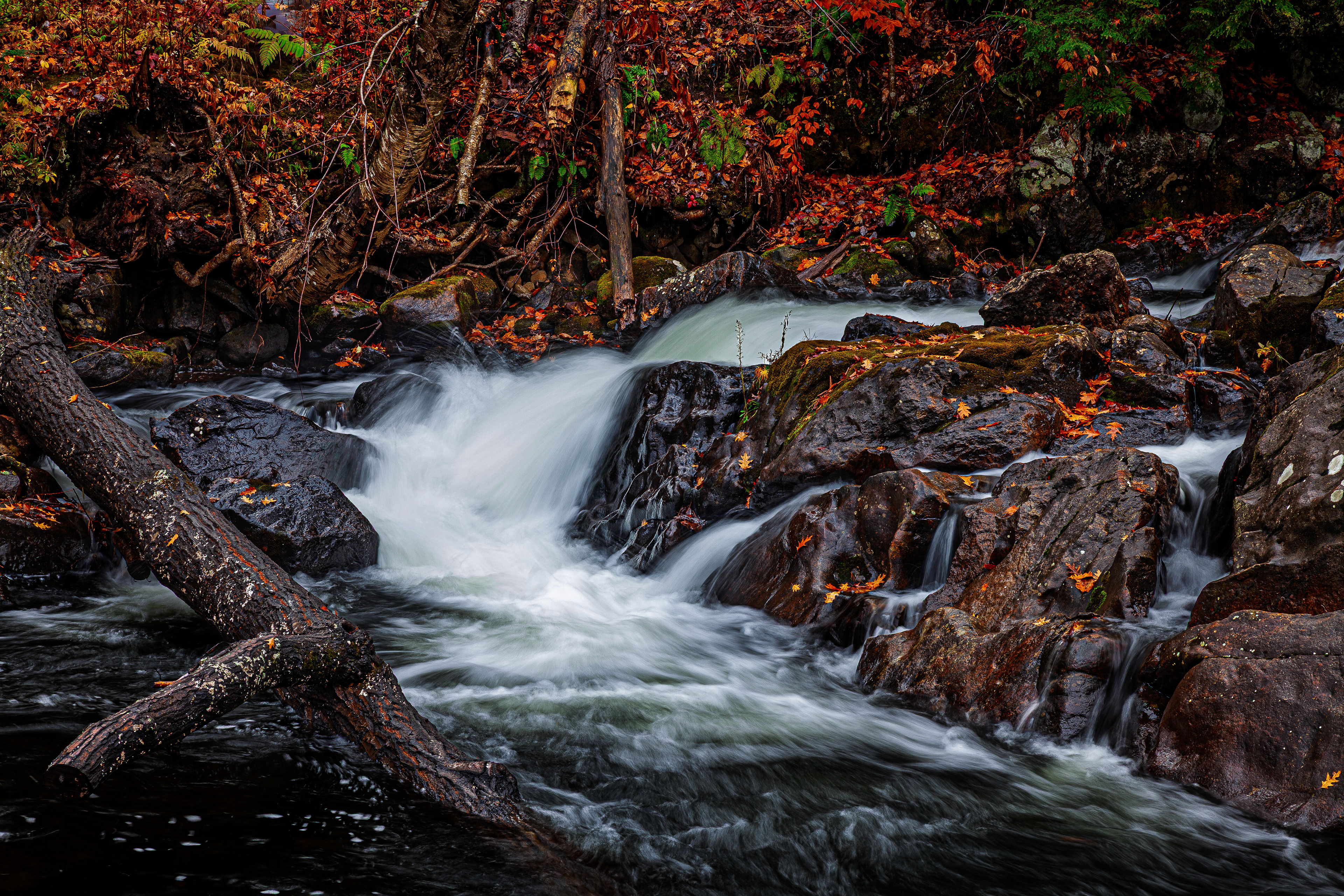 Bristol Falls Park No6