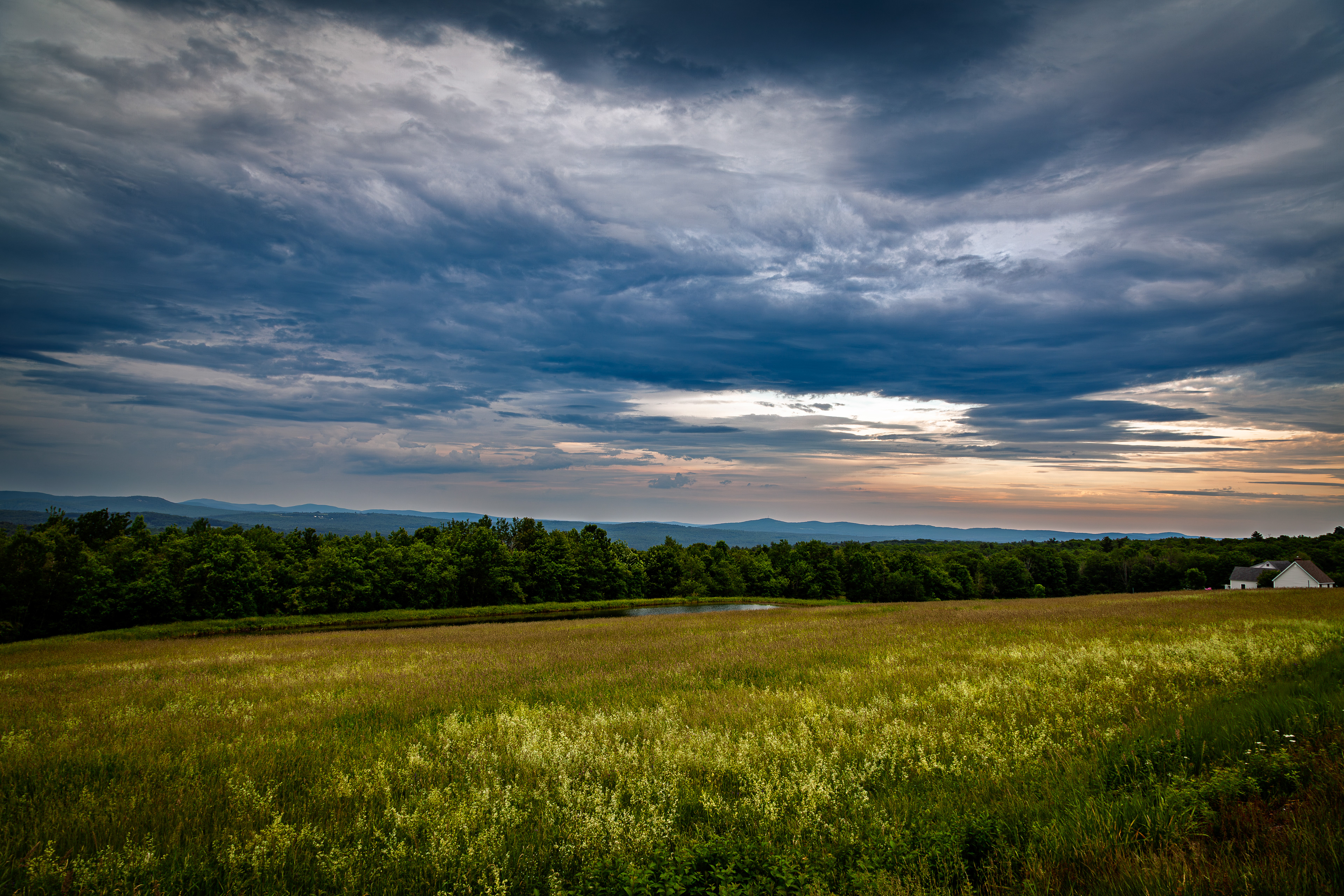 Frisky Hill No2