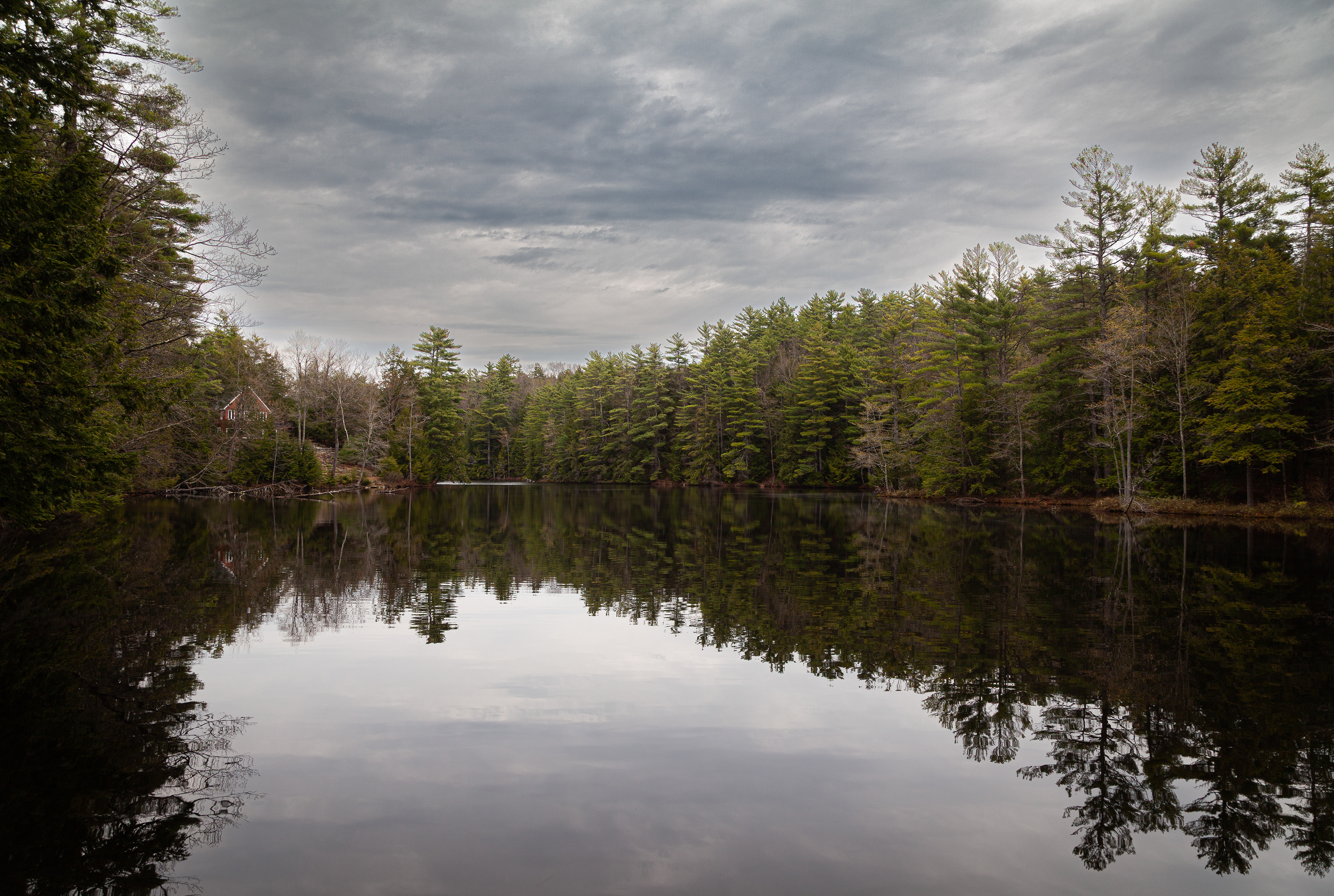 Reflections in Color