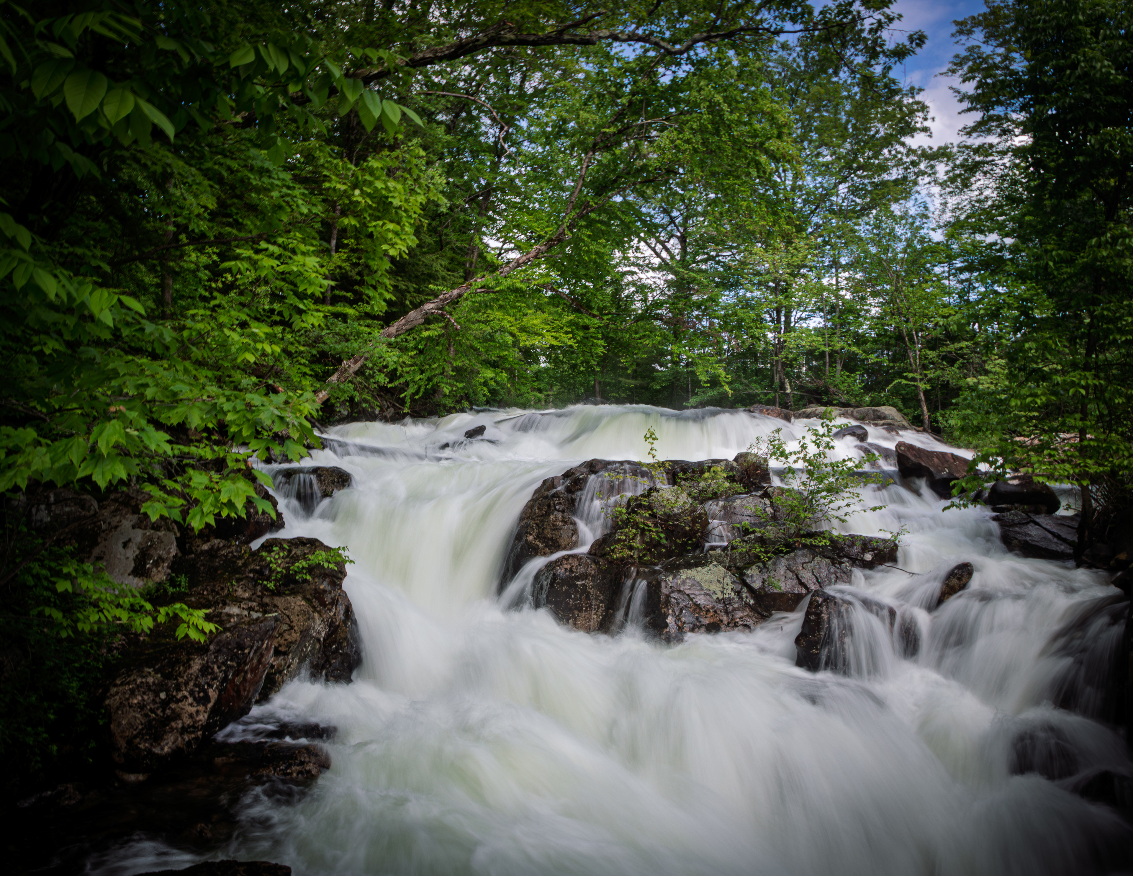 Bristol Falls Park No16