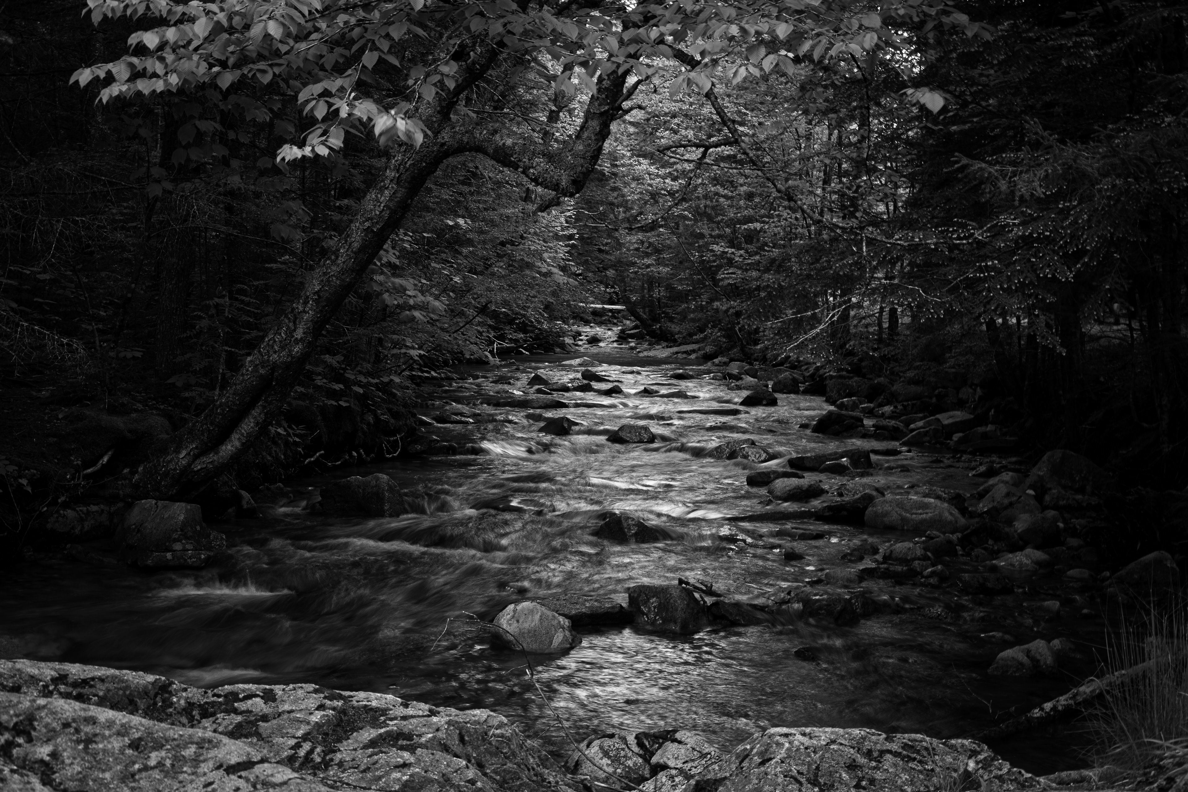 Pemigewasset River Along The Basin Trail - June 15, 2025