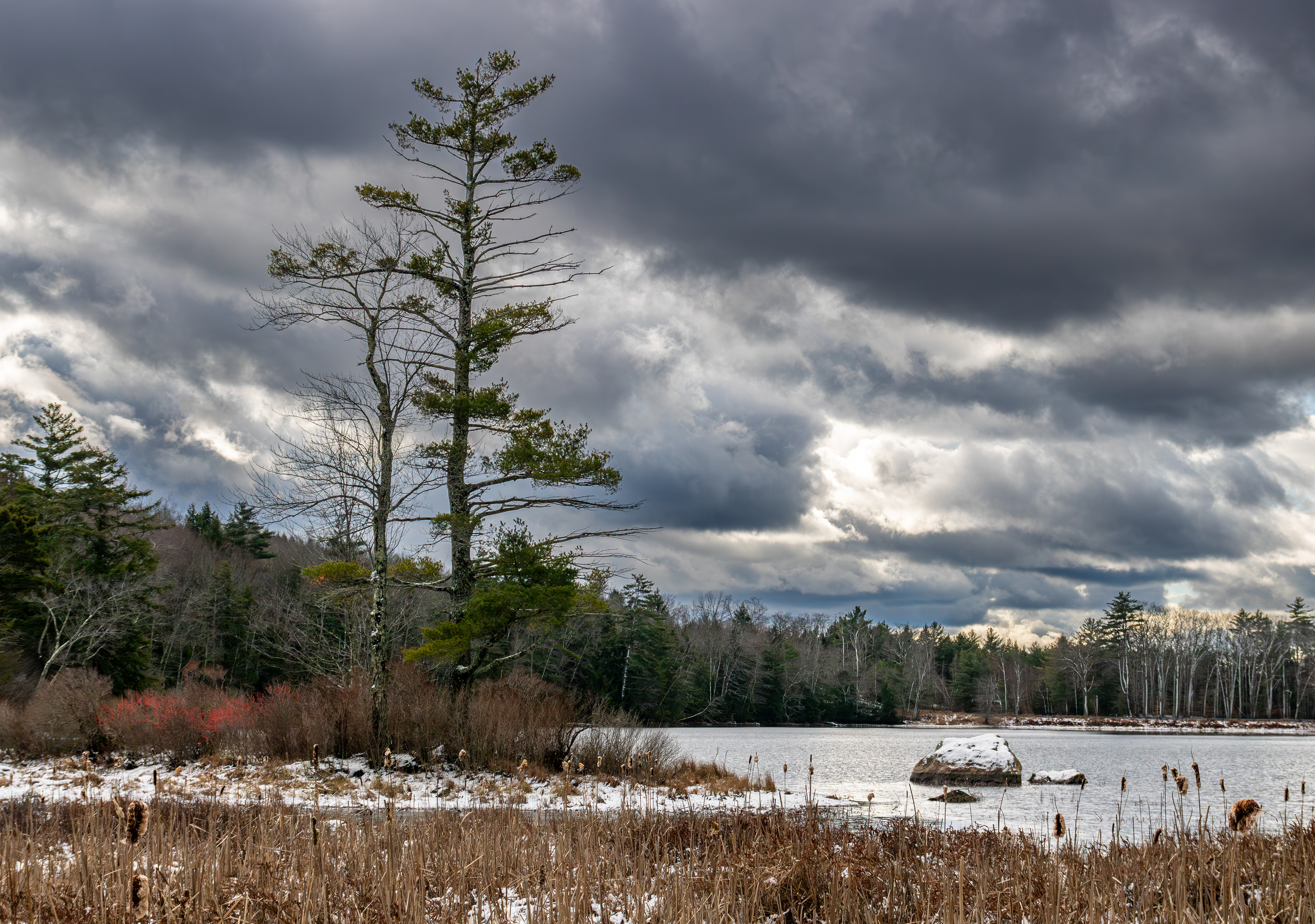 Rollins Pond No10