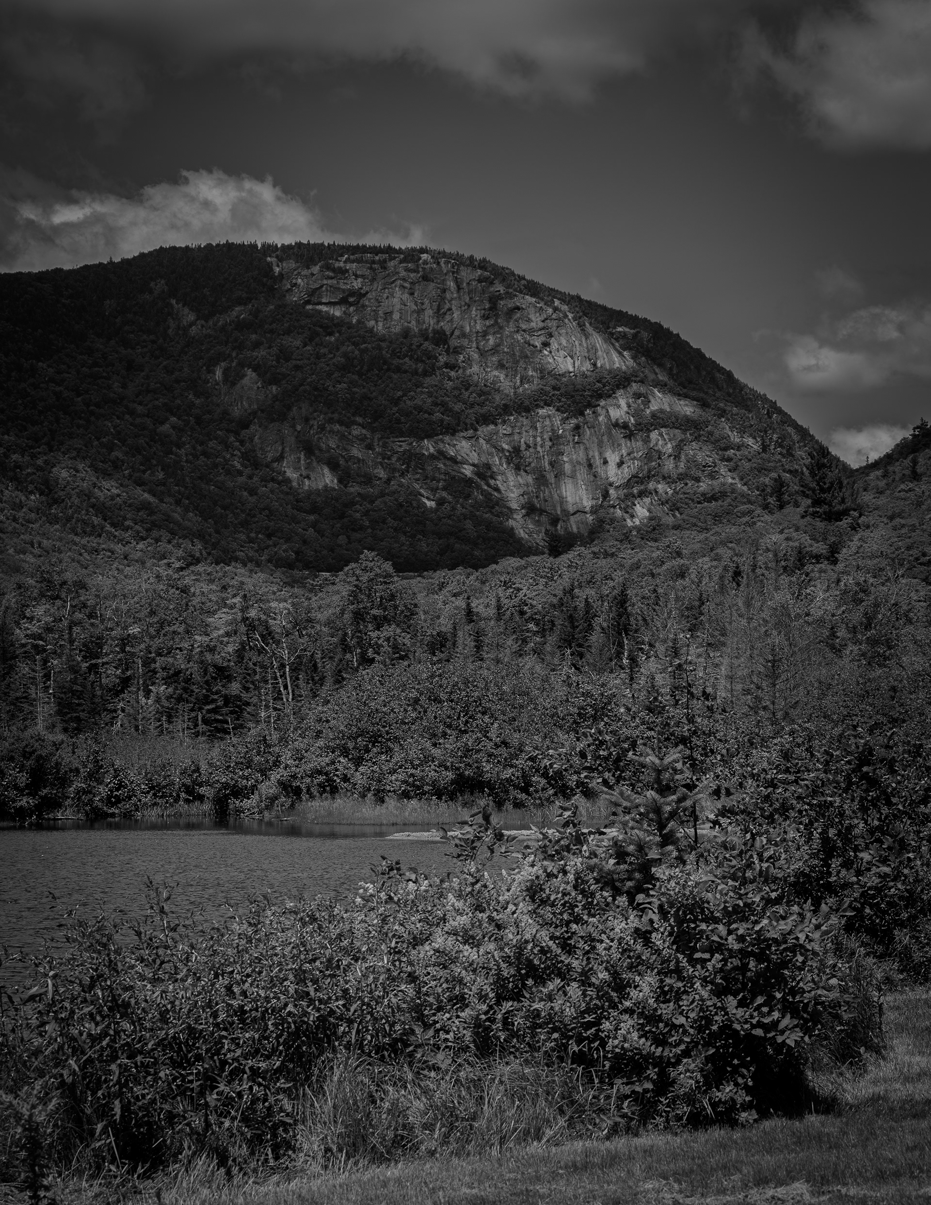 Mount Willard from Willey Pond No7