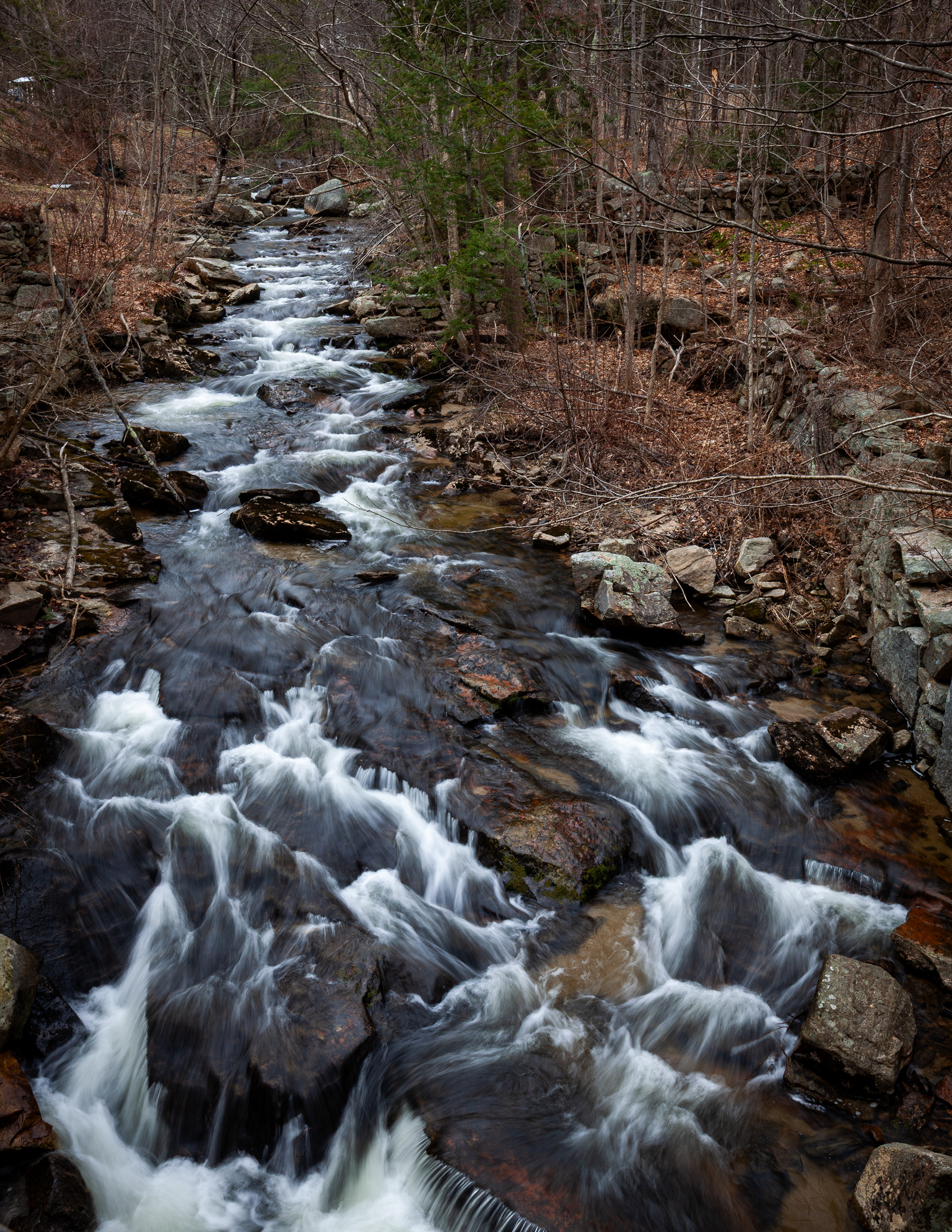 Gunstock Brook No5