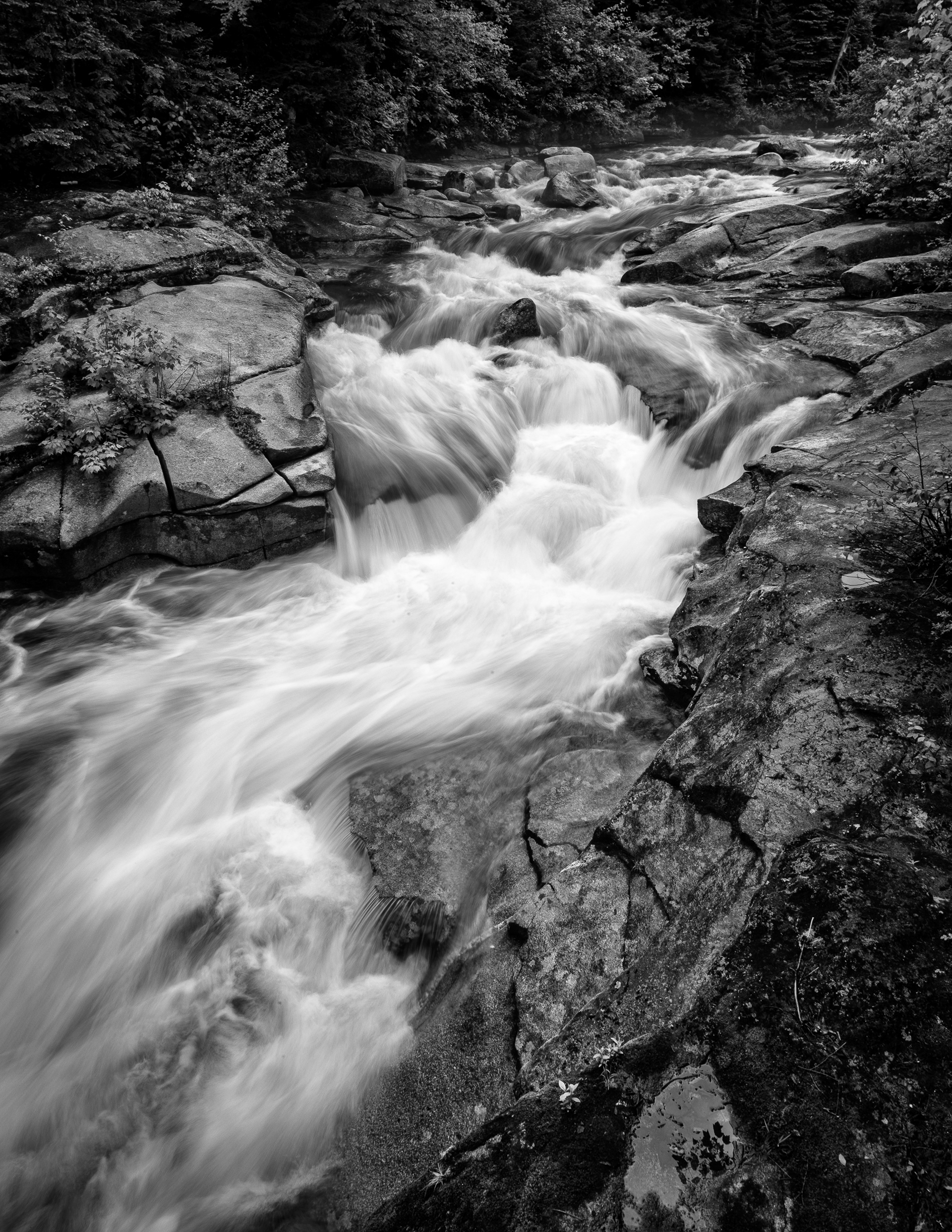 Upper Ammonoosuc Falls - June 11, 2026