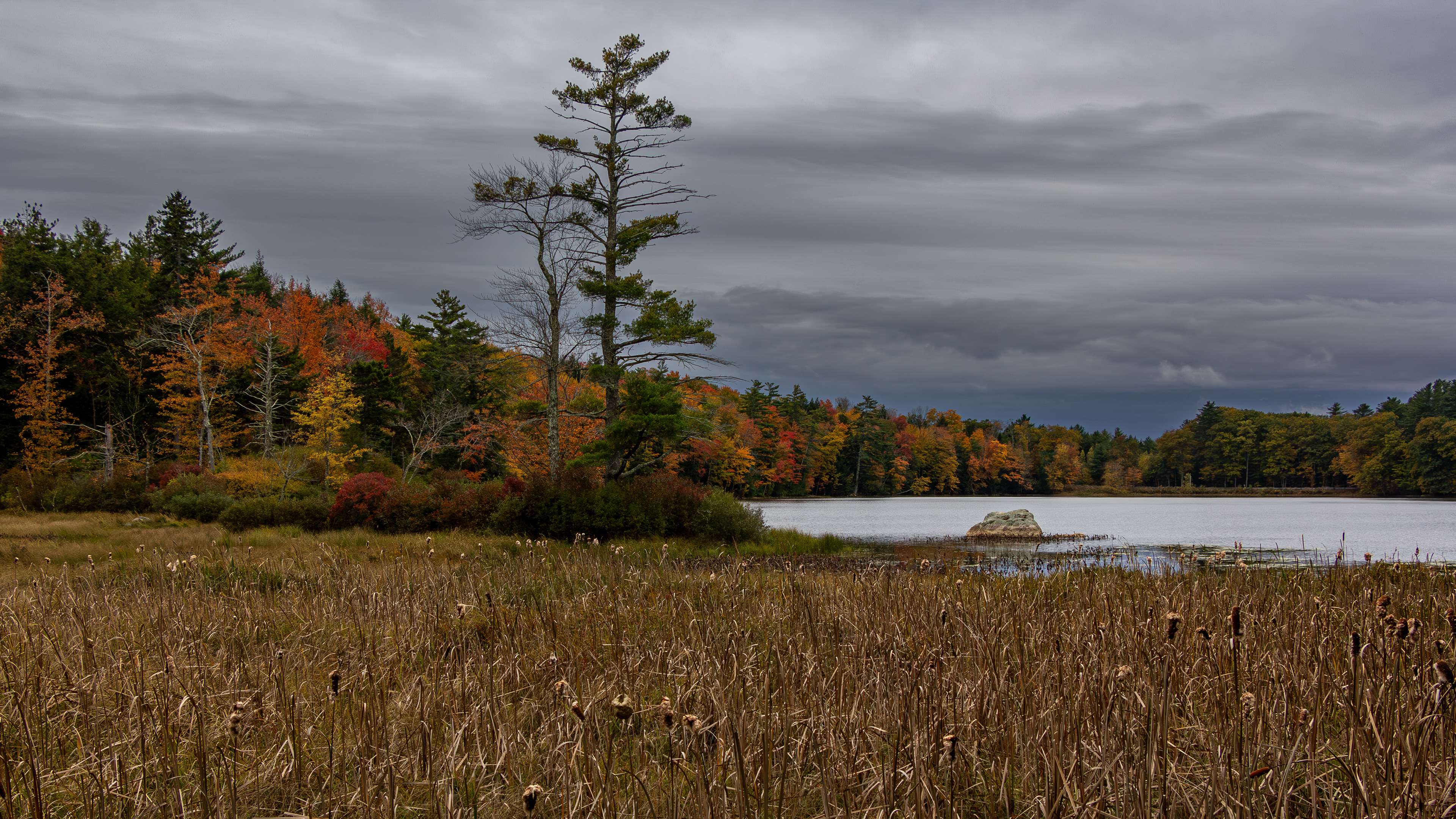 Autumn Colors at Rollins Pond No2 - October 13, 2024