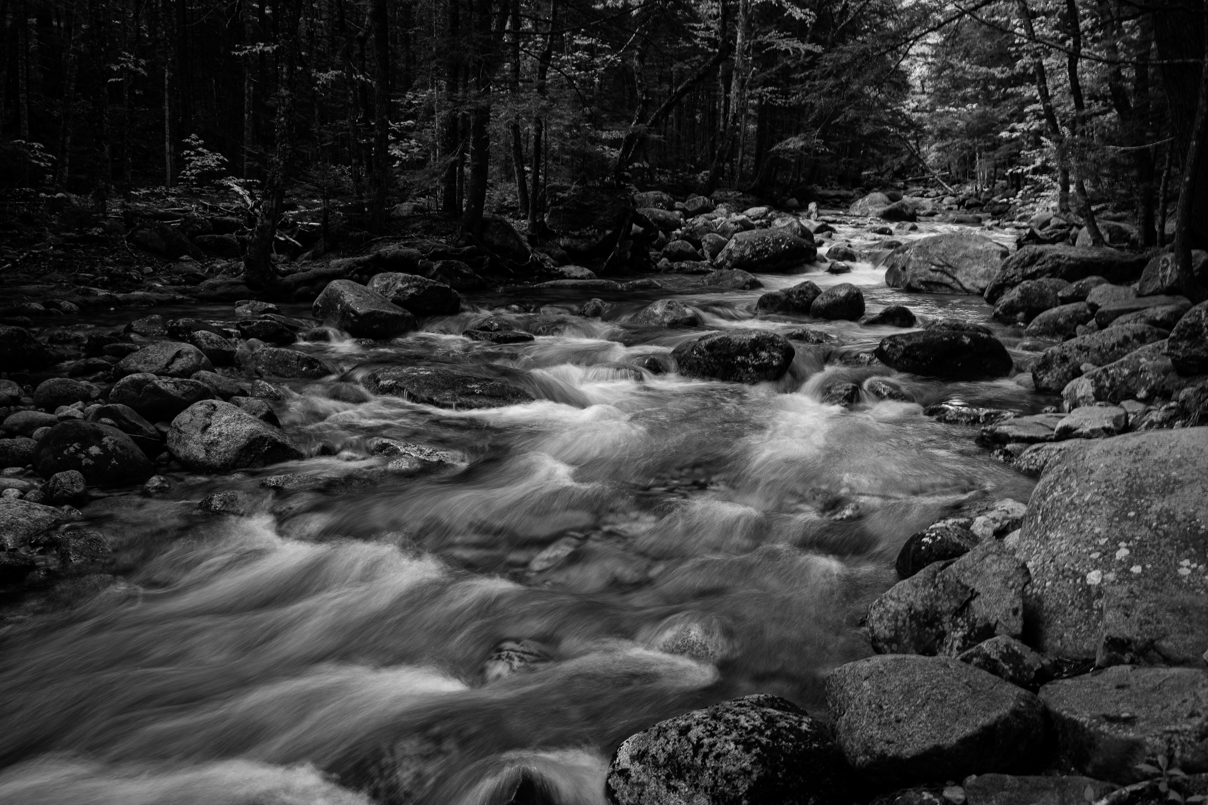 Sabbaday Brook No3