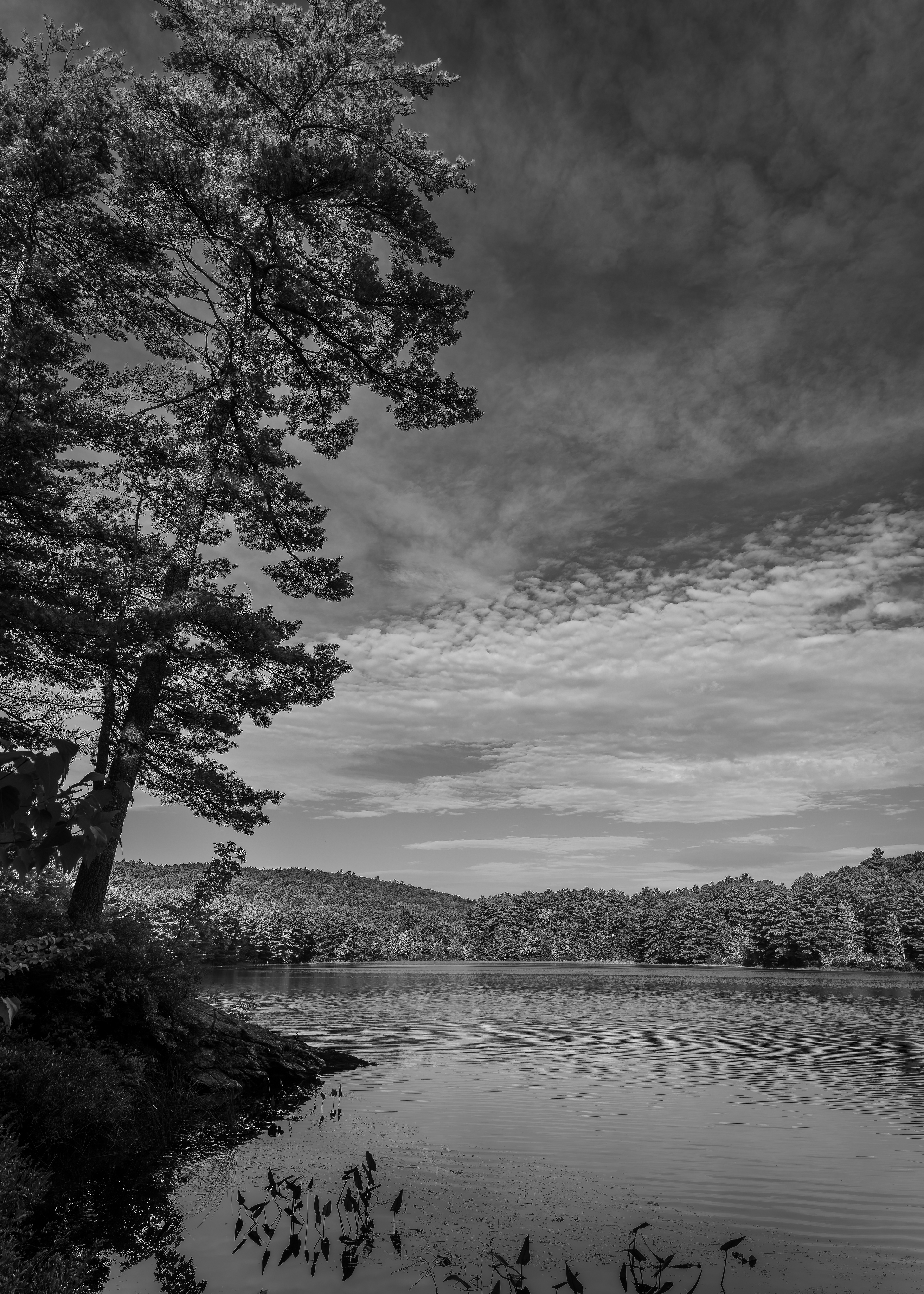 Meetinghouse Pond No2