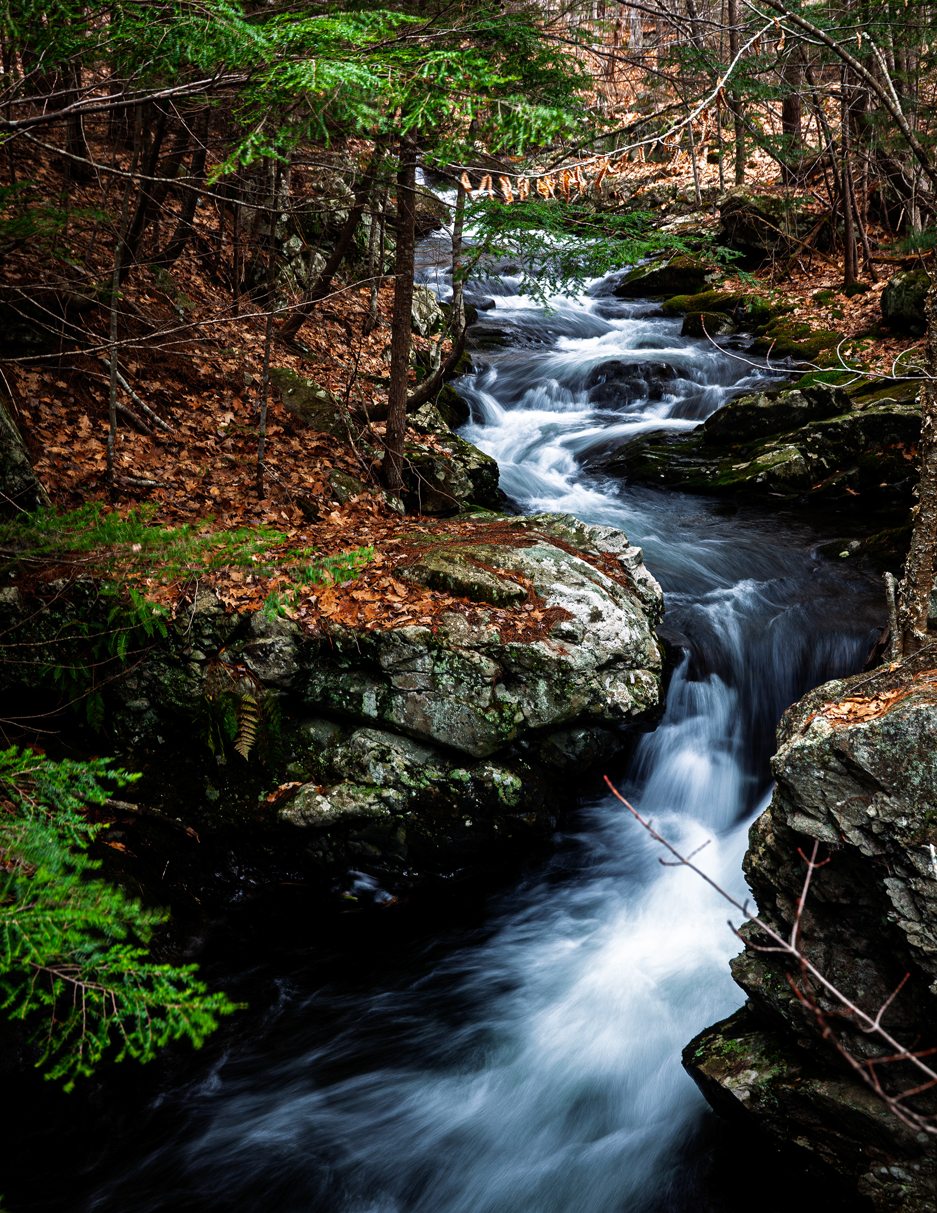 CITC Brook Walk - Cascade No4