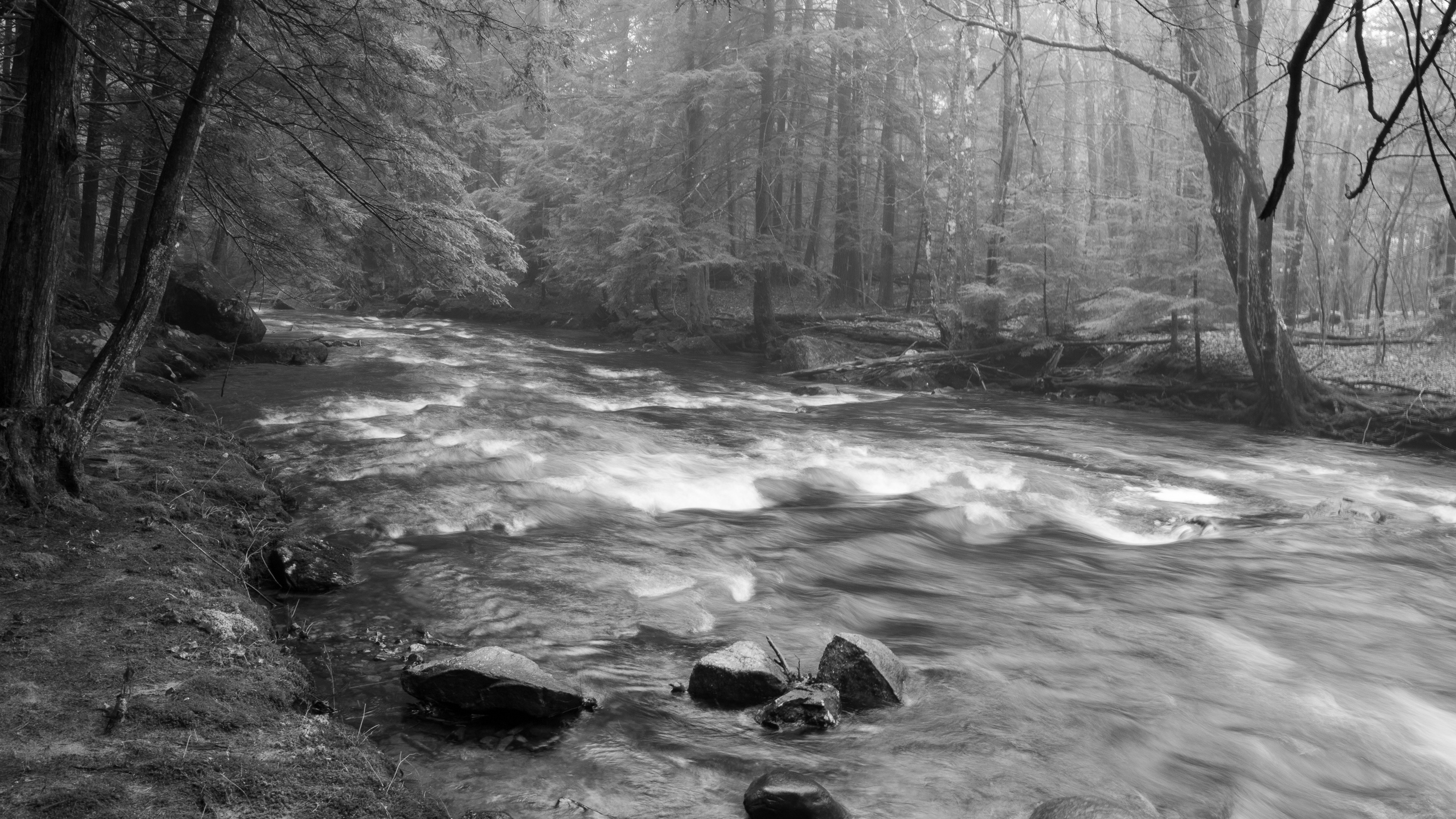 Academy Brook No12