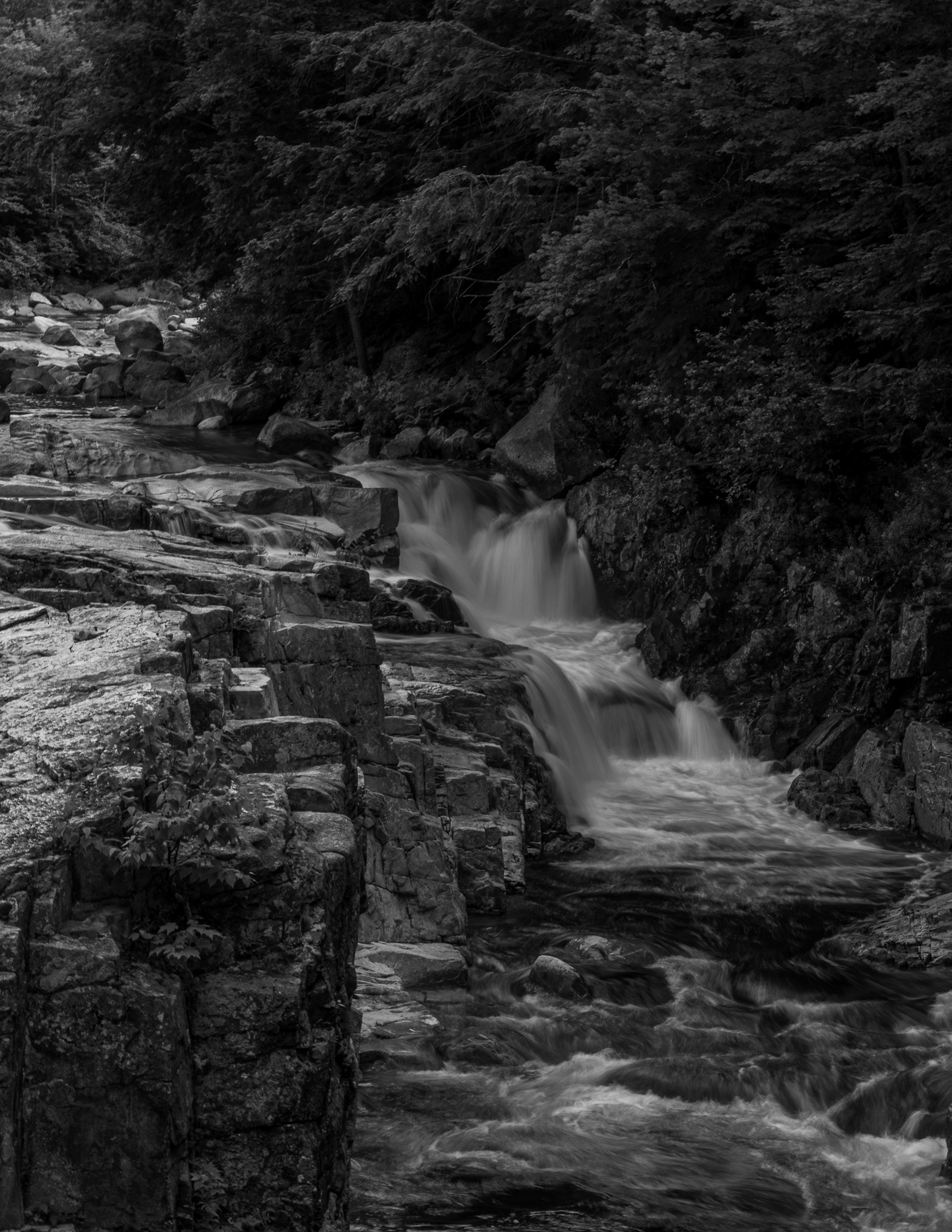 Falls at Rocky Gorge - July 2, 2024