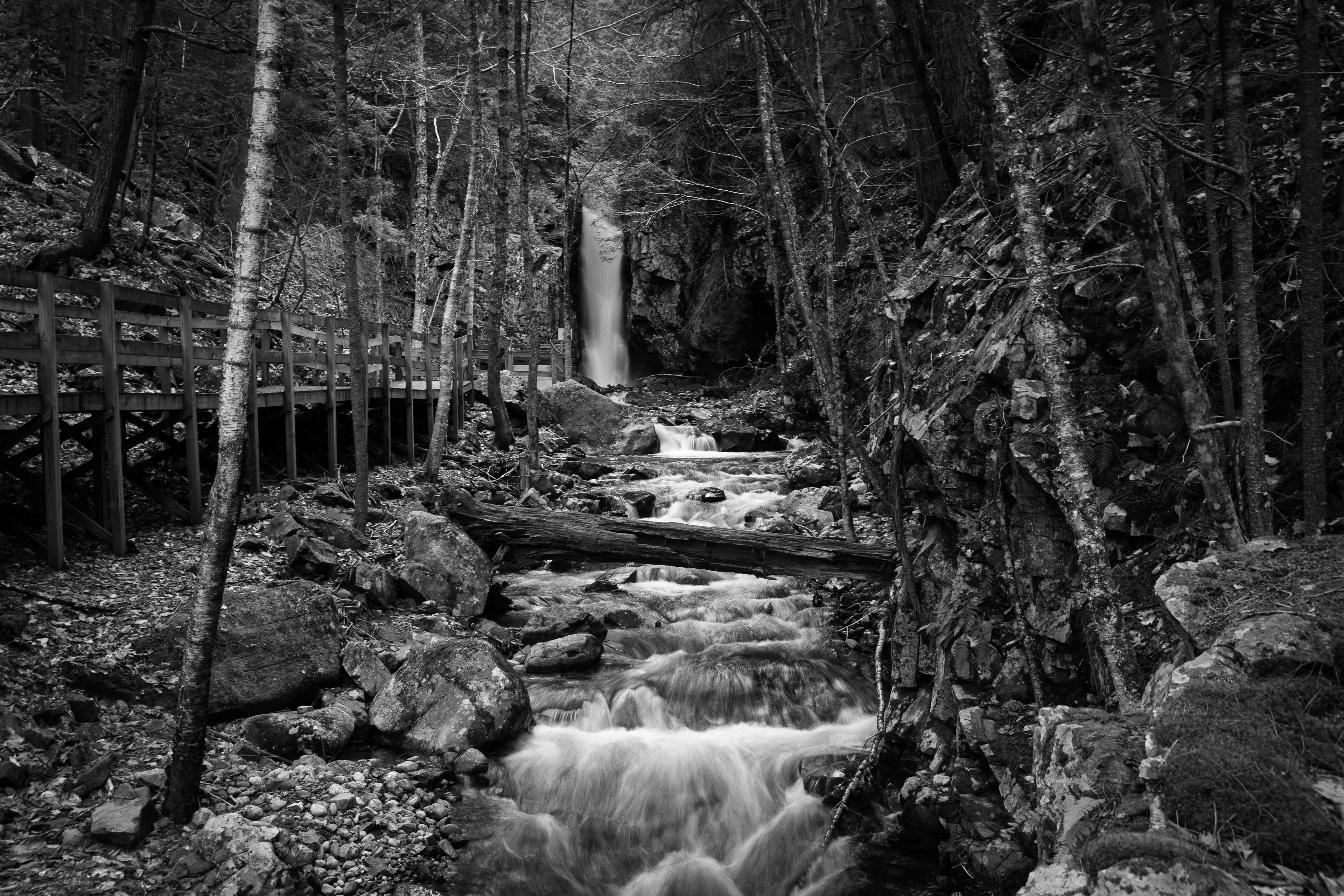CITC Brook Walk - Falls of Song No35