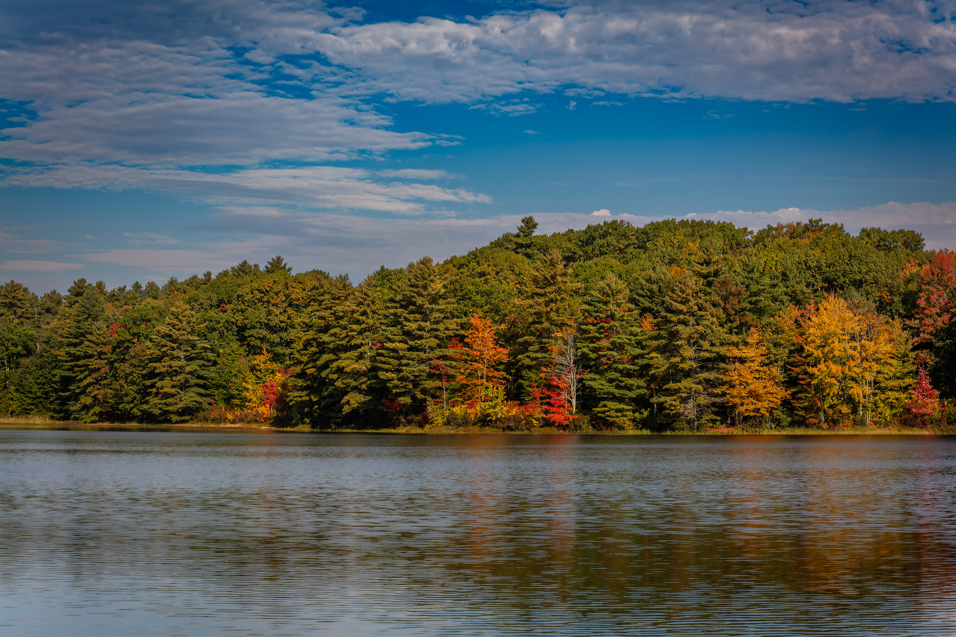 Meetinghouse Pond No6