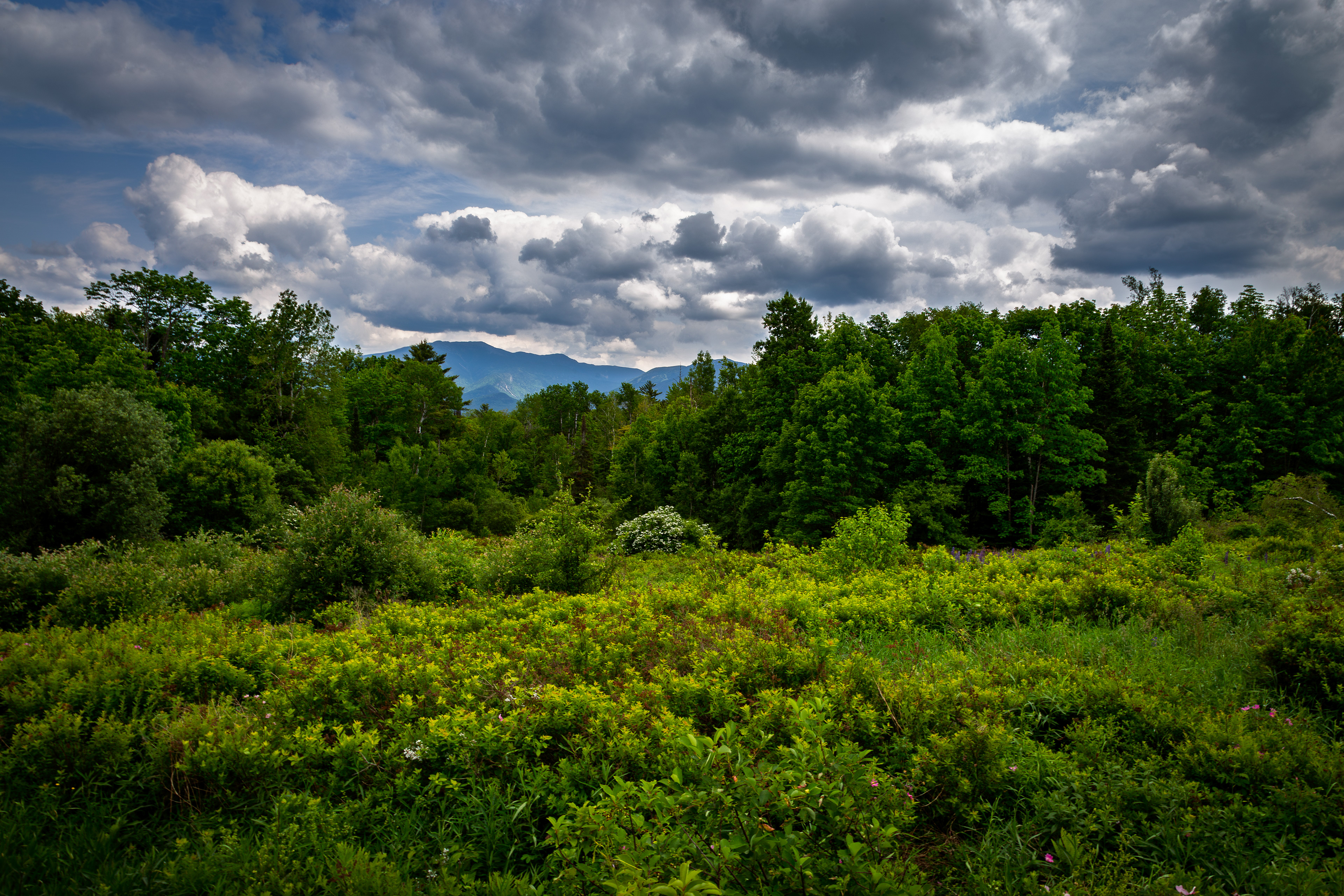Cloud Drama at Sugar Hill No2