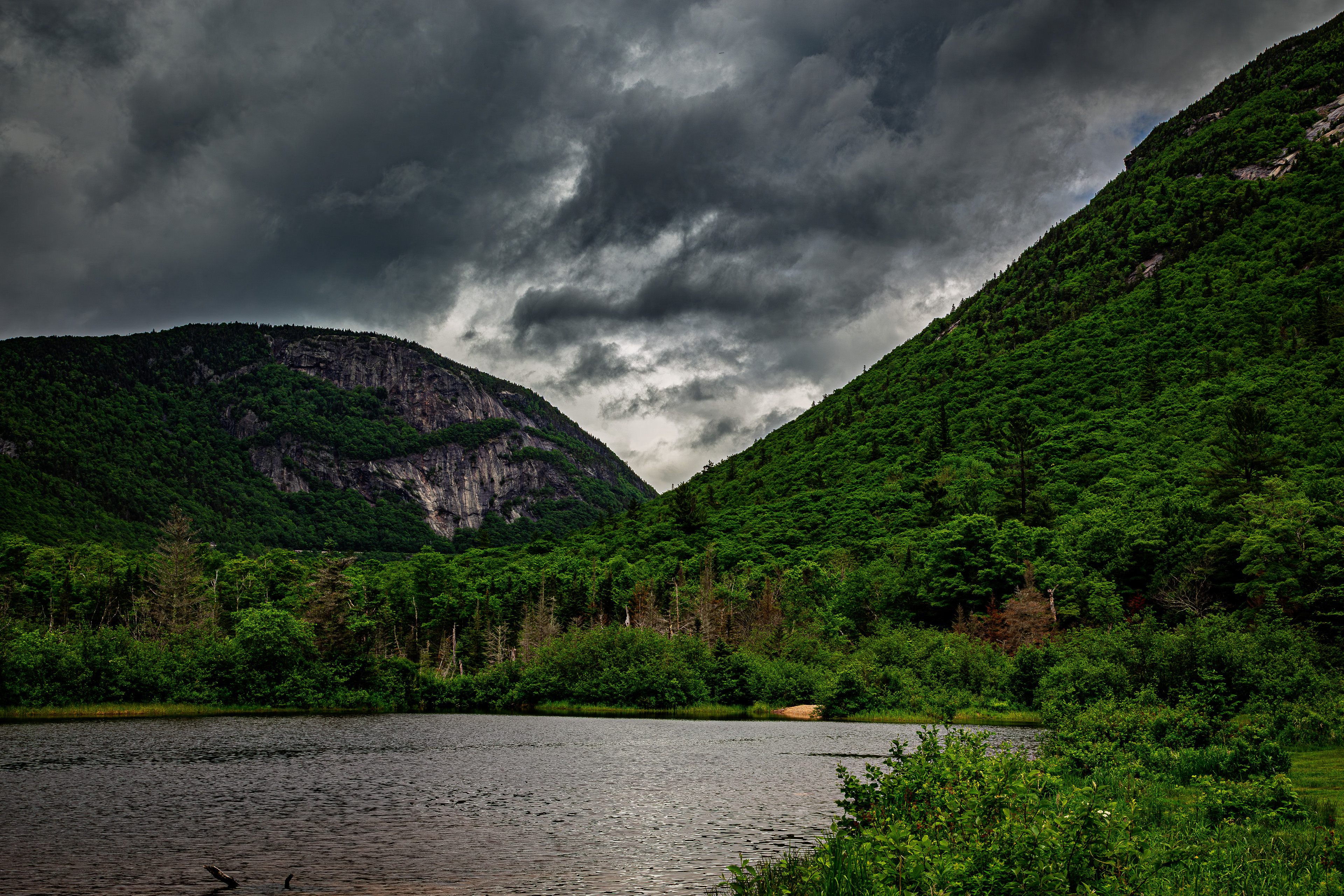 Willey Pond No8