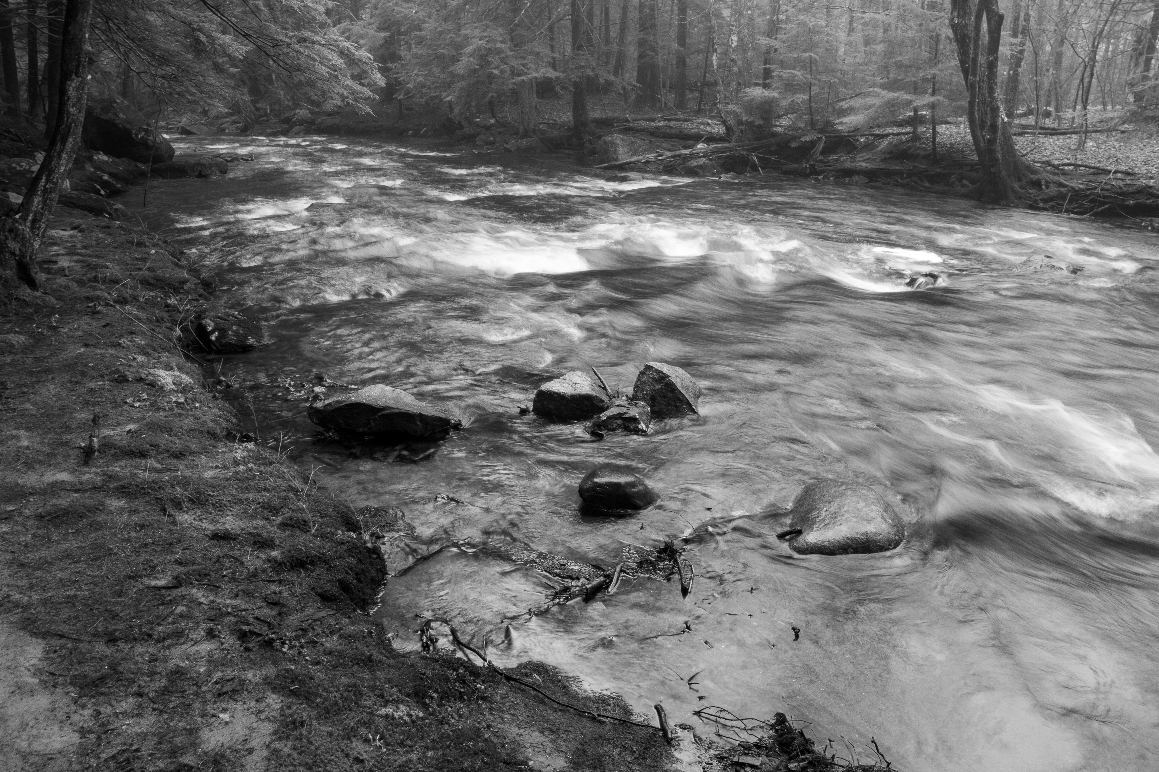 Academy Brook No11