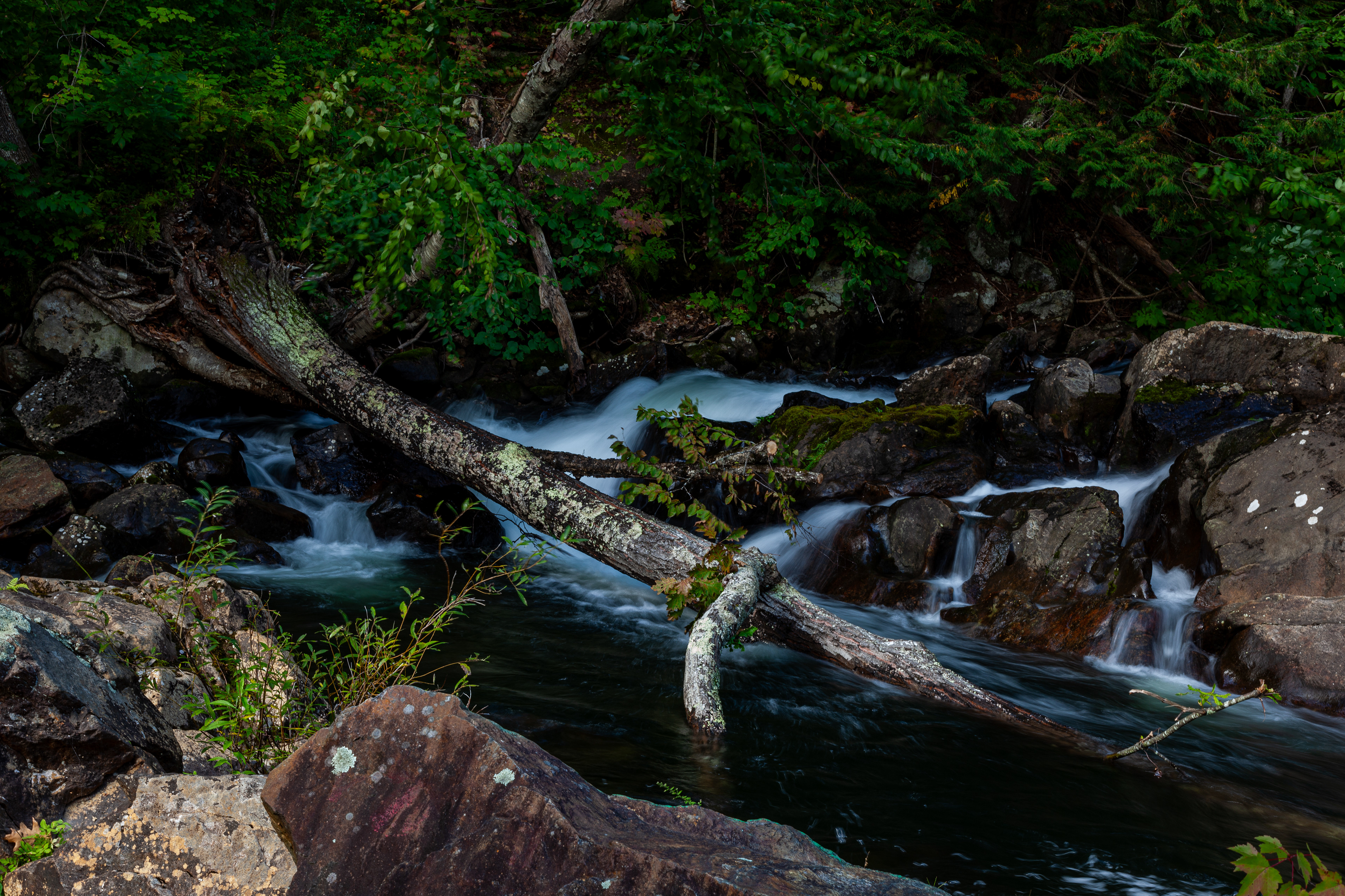 Bristol Falls Park No4